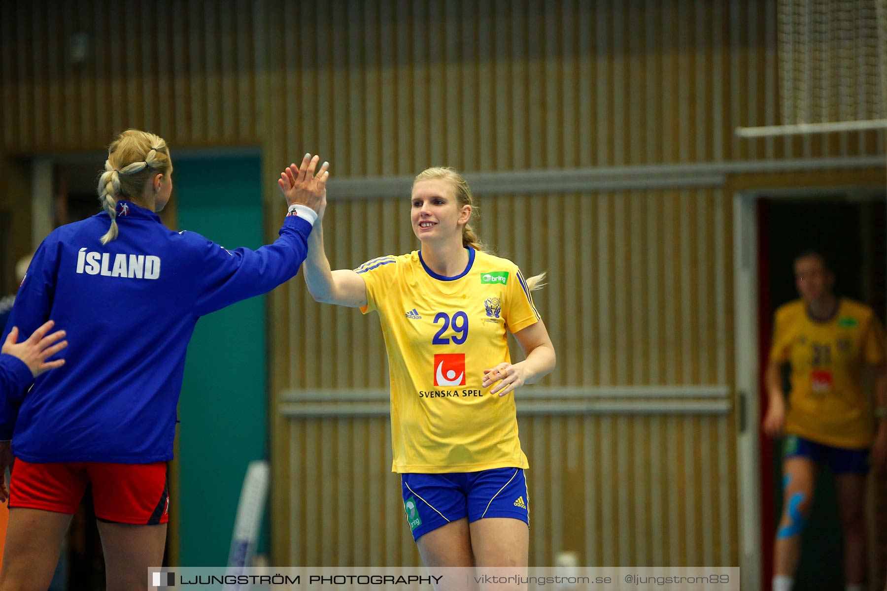 Landskamp Sverige-Island 32-24,dam,Arena Skövde,Skövde,Sverige,Handboll,,2014,150569