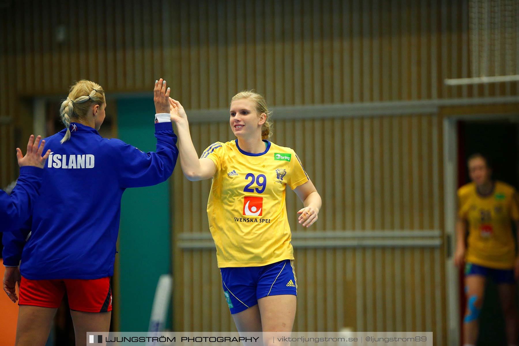 Landskamp Sverige-Island 32-24,dam,Arena Skövde,Skövde,Sverige,Handboll,,2014,150570