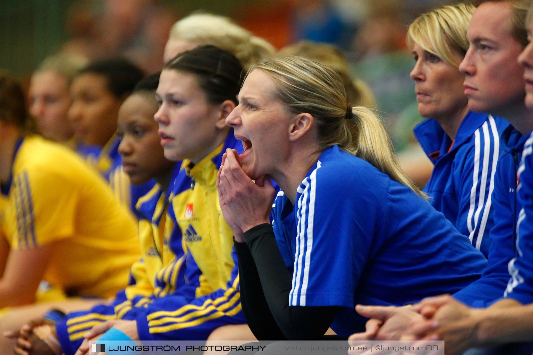 Landskamp Sverige-Island 32-24,dam,Arena Skövde,Skövde,Sverige,Handboll,,2014,150766