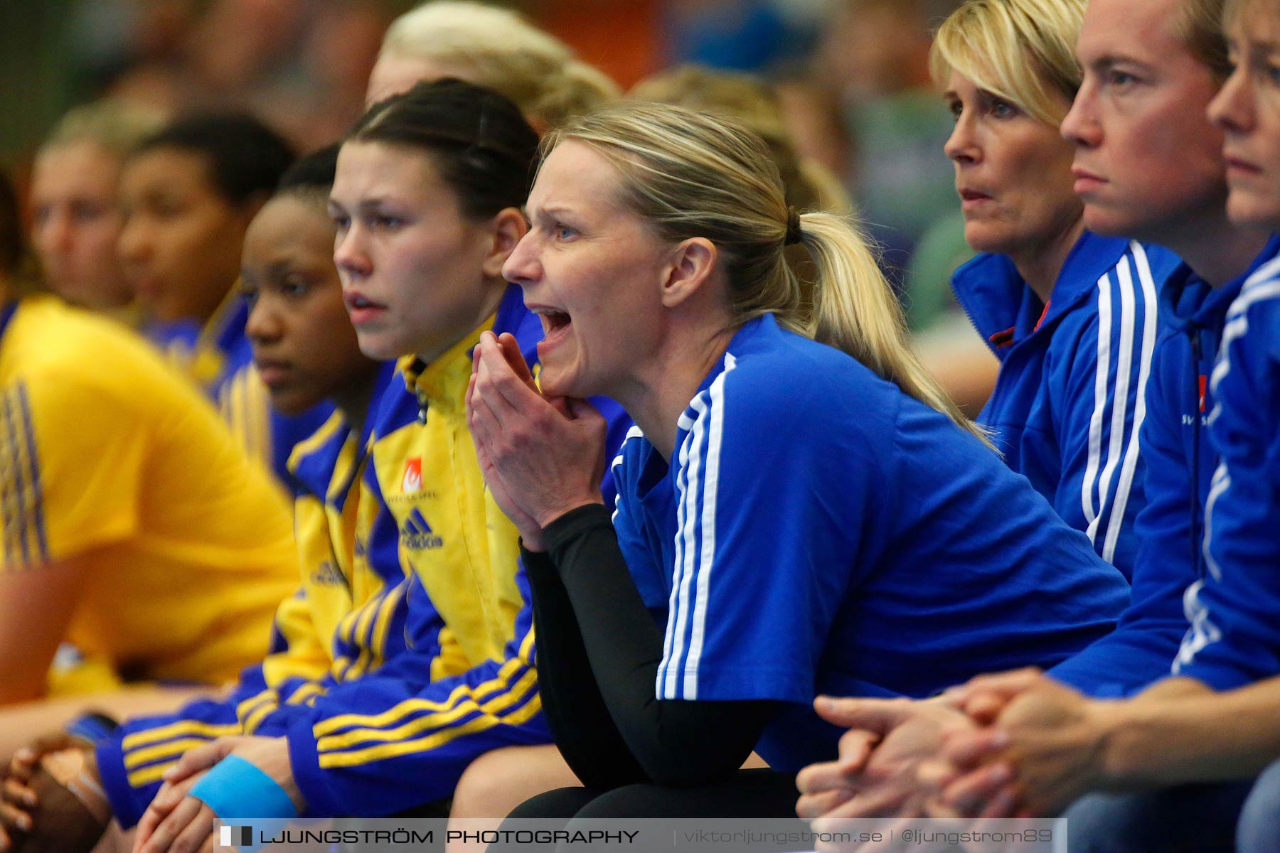 Landskamp Sverige-Island 32-24,dam,Arena Skövde,Skövde,Sverige,Handboll,,2014,150769