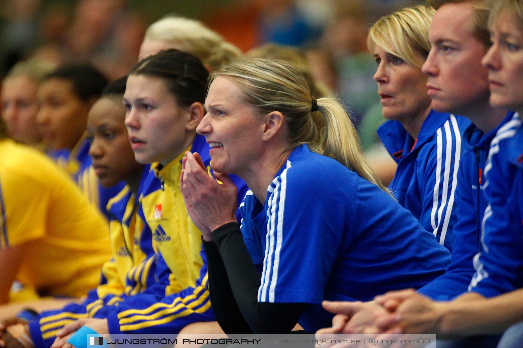 Landskamp Sverige-Island 32-24,dam,Arena Skövde,Skövde,Sverige,Handboll,,2014,150770