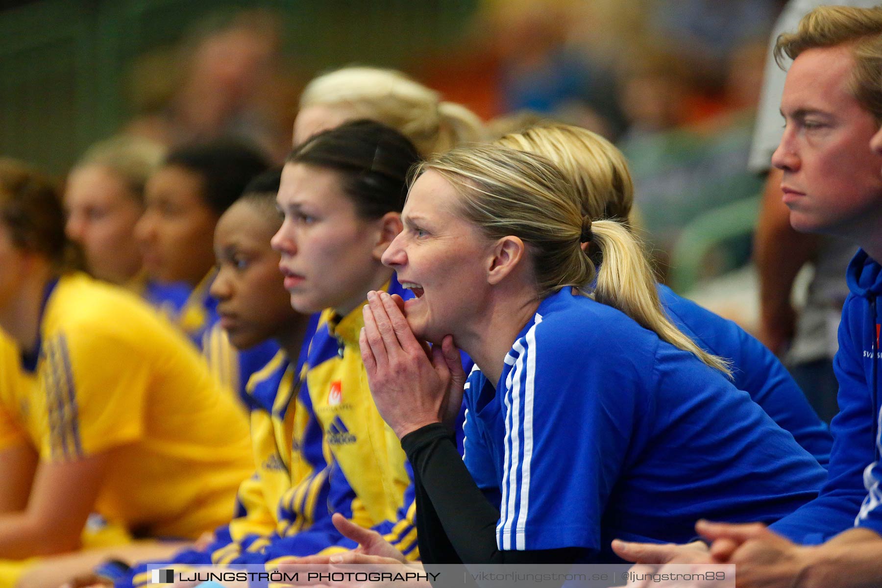 Landskamp Sverige-Island 32-24,dam,Arena Skövde,Skövde,Sverige,Handboll,,2014,150784