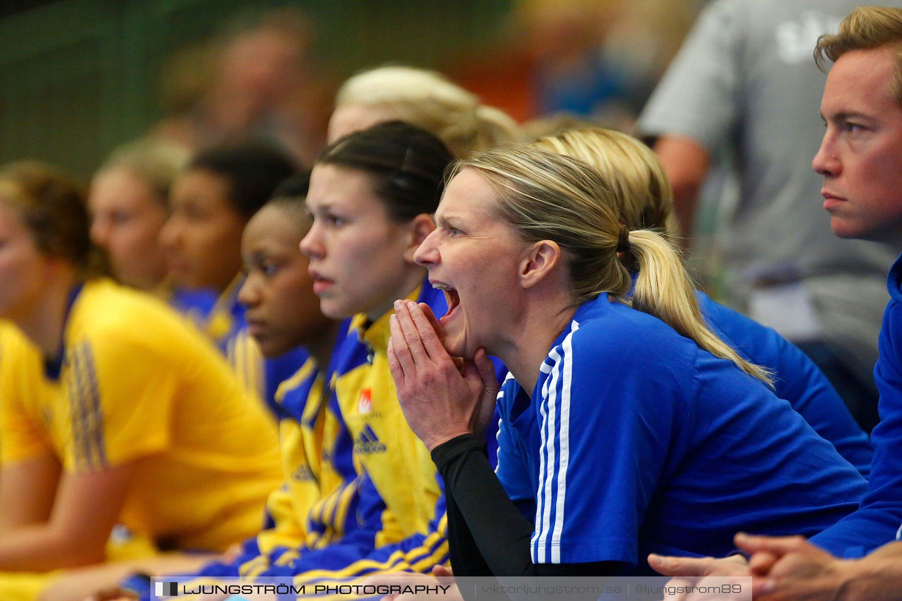 Landskamp Sverige-Island 32-24,dam,Arena Skövde,Skövde,Sverige,Handboll,,2014,150786