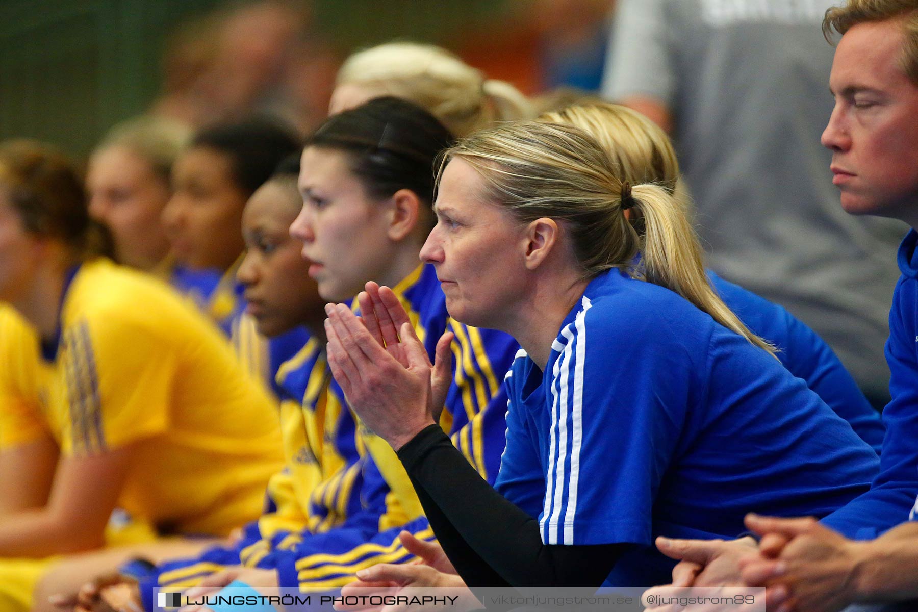 Landskamp Sverige-Island 32-24,dam,Arena Skövde,Skövde,Sverige,Handboll,,2014,150788