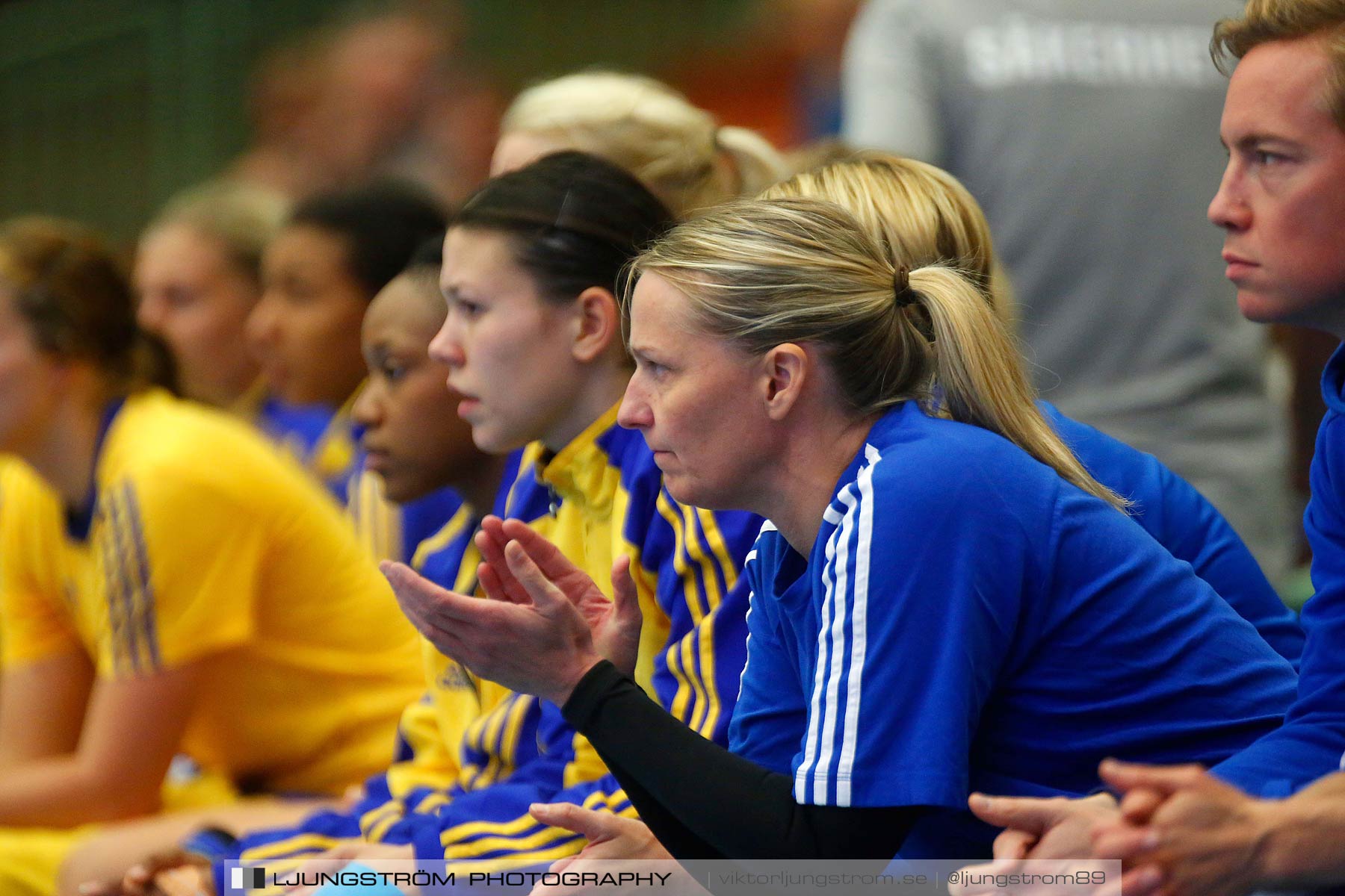 Landskamp Sverige-Island 32-24,dam,Arena Skövde,Skövde,Sverige,Handboll,,2014,150789