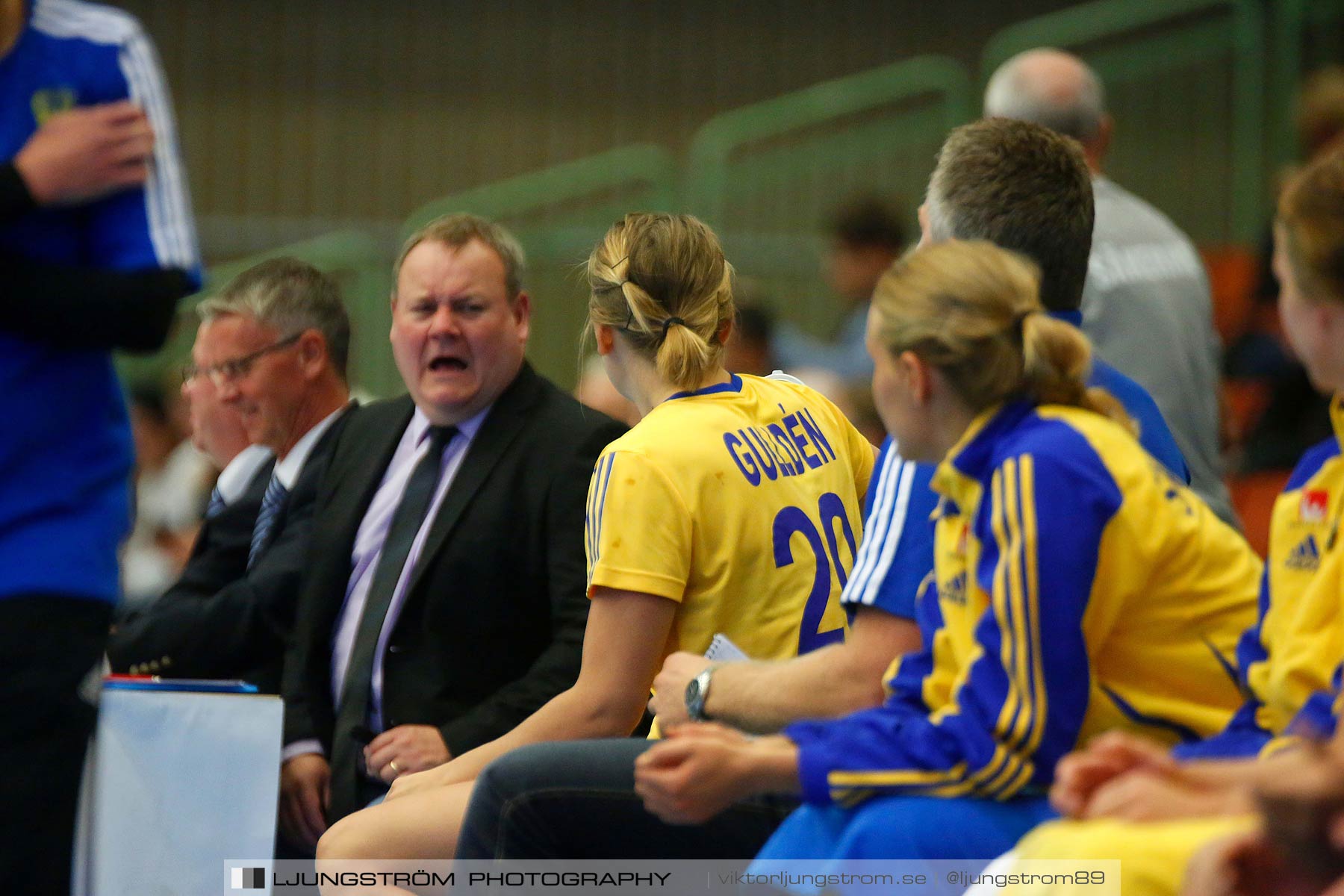 Landskamp Sverige-Island 32-24,dam,Arena Skövde,Skövde,Sverige,Handboll,,2014,150795