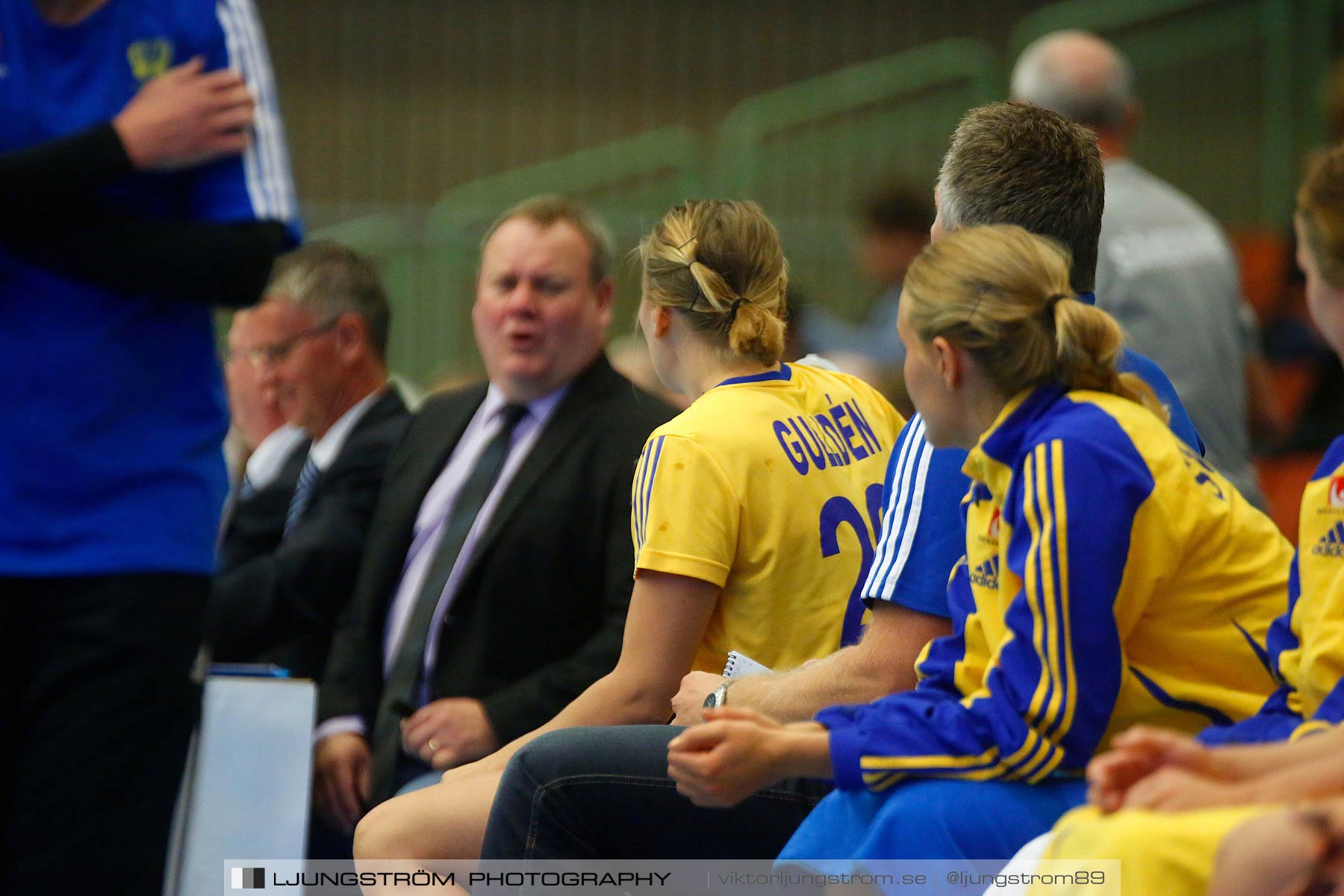 Landskamp Sverige-Island 32-24,dam,Arena Skövde,Skövde,Sverige,Handboll,,2014,150796