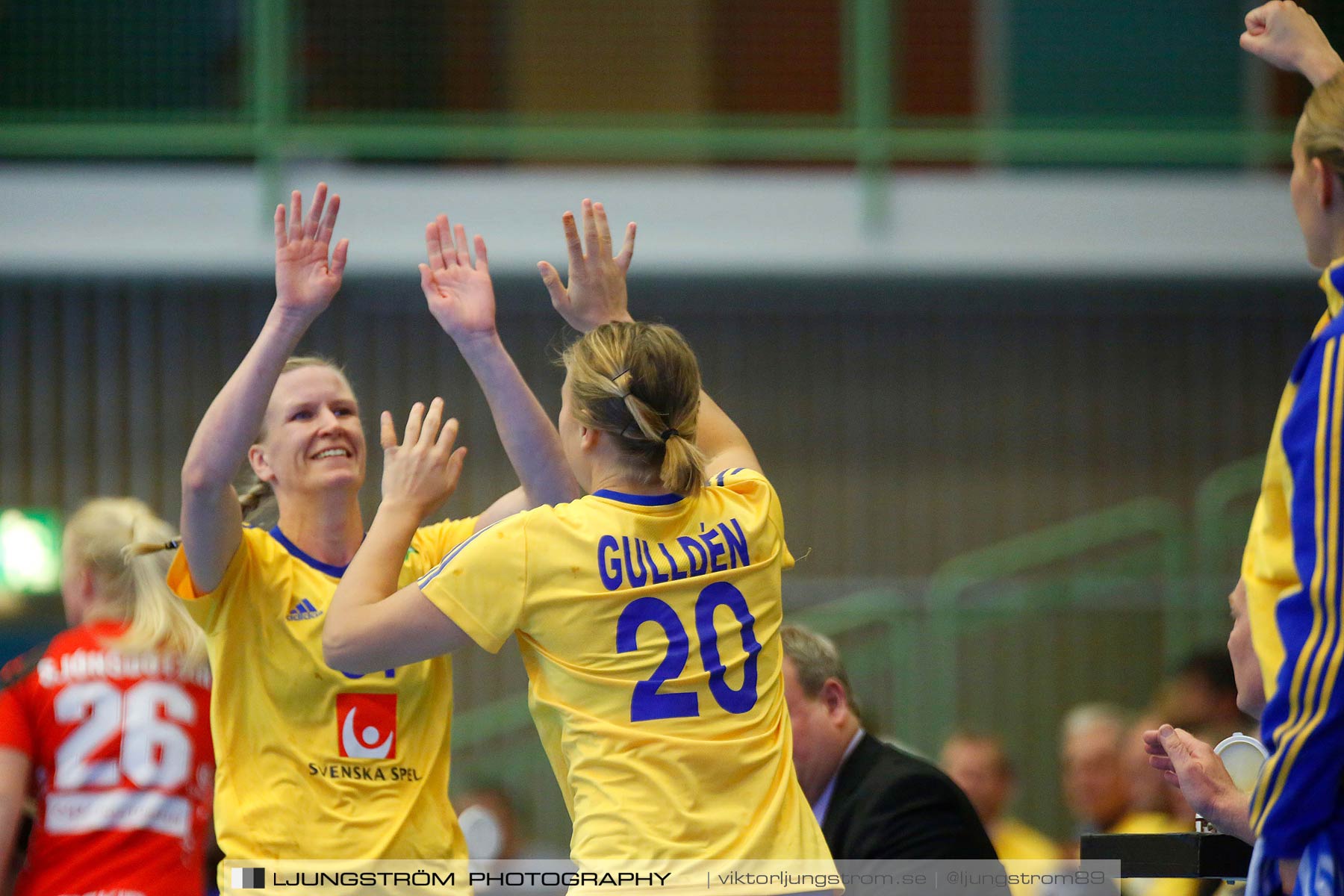 Landskamp Sverige-Island 32-24,dam,Arena Skövde,Skövde,Sverige,Handboll,,2014,150804