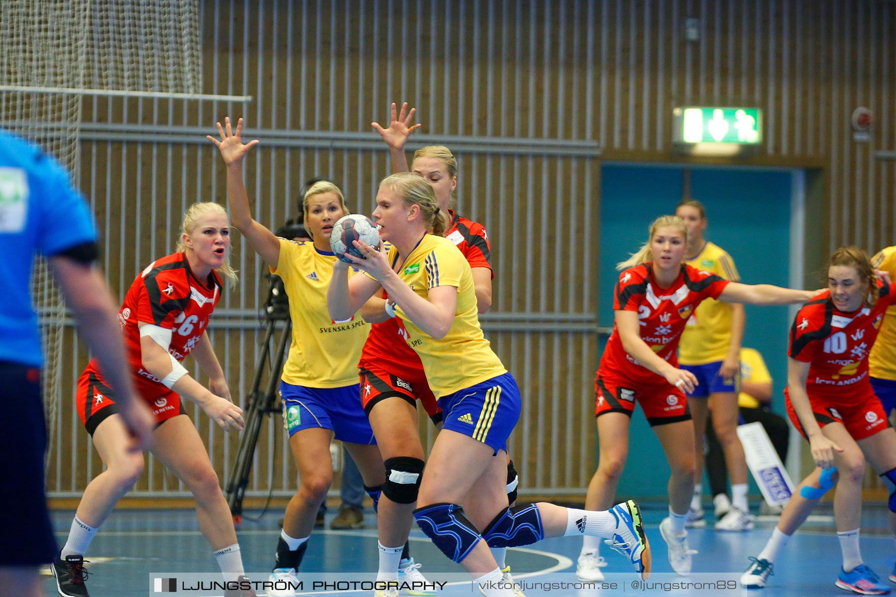 Landskamp Sverige-Island 32-24,dam,Arena Skövde,Skövde,Sverige,Handboll,,2014,150991