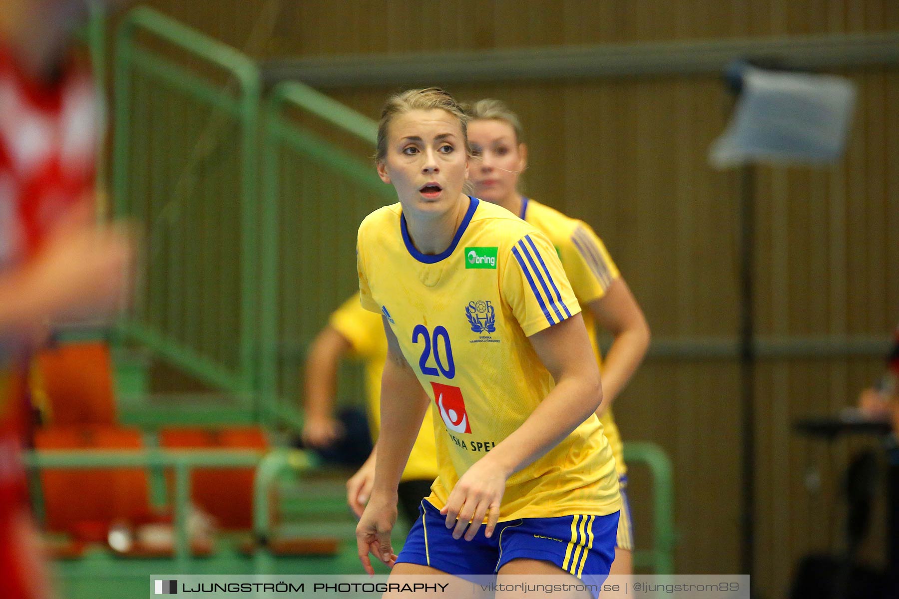 Landskamp Sverige-Island 32-24,dam,Arena Skövde,Skövde,Sverige,Handboll,,2014,150998