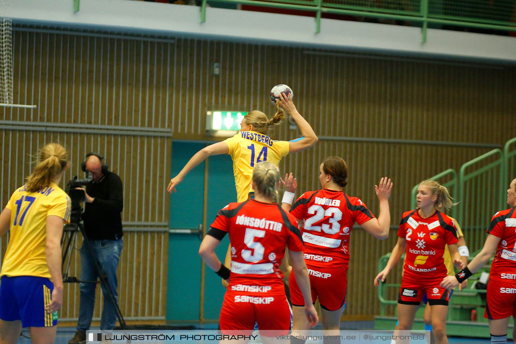 Landskamp Sverige-Island 32-24,dam,Arena Skövde,Skövde,Sverige,Handboll,,2014,151053