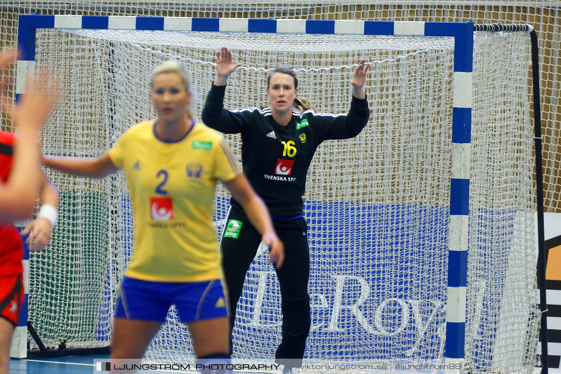 Landskamp Sverige-Island 32-24,dam,Arena Skövde,Skövde,Sverige,Handboll,,2014,151065