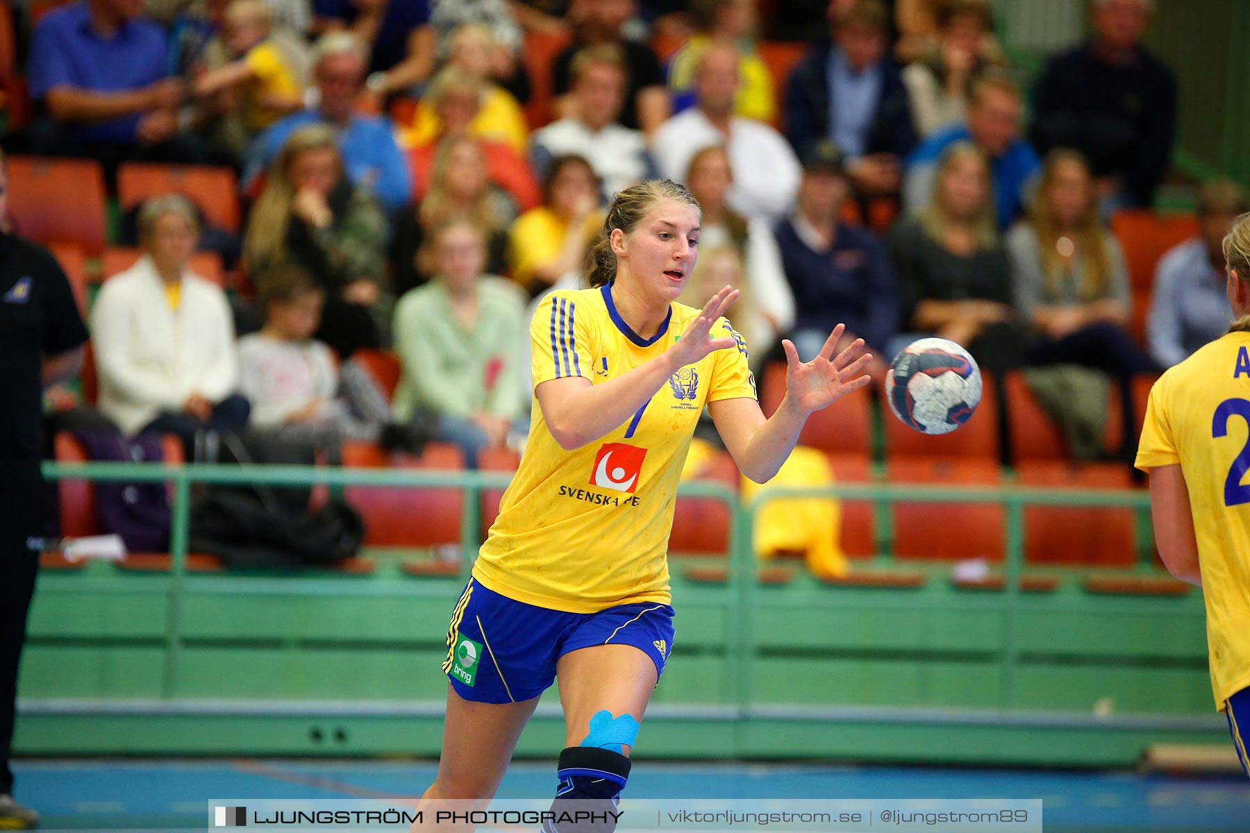 Landskamp Sverige-Island 32-24,dam,Arena Skövde,Skövde,Sverige,Handboll,,2014,151331