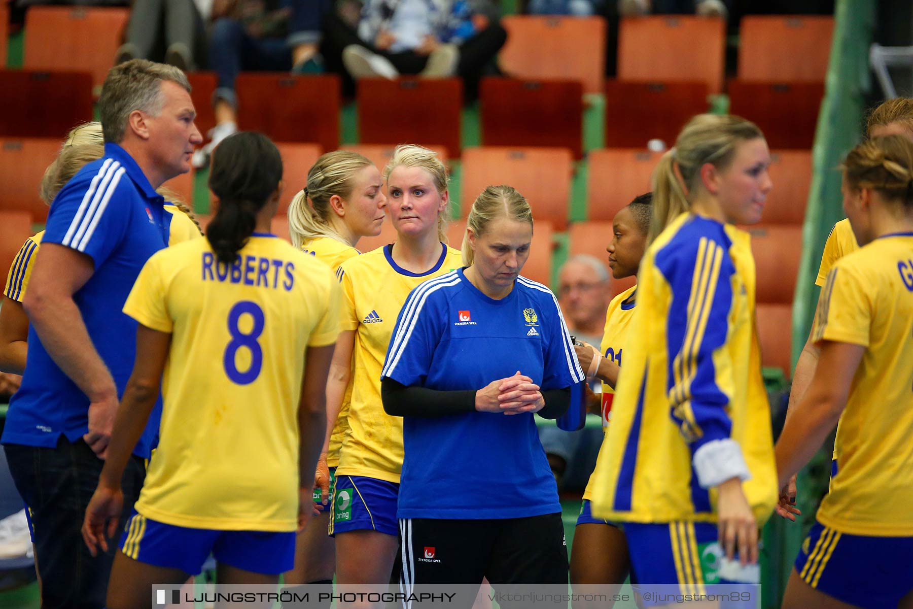 Landskamp Sverige-Island 32-24,dam,Arena Skövde,Skövde,Sverige,Handboll,,2014,151343