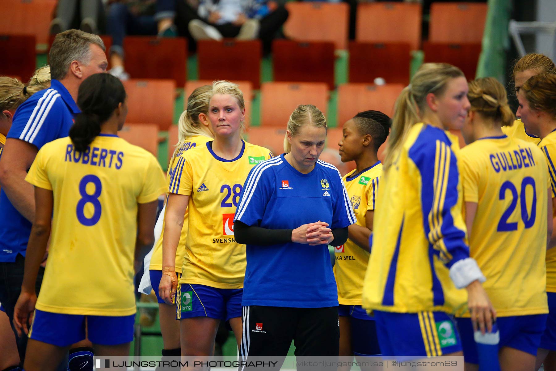 Landskamp Sverige-Island 32-24,dam,Arena Skövde,Skövde,Sverige,Handboll,,2014,151344