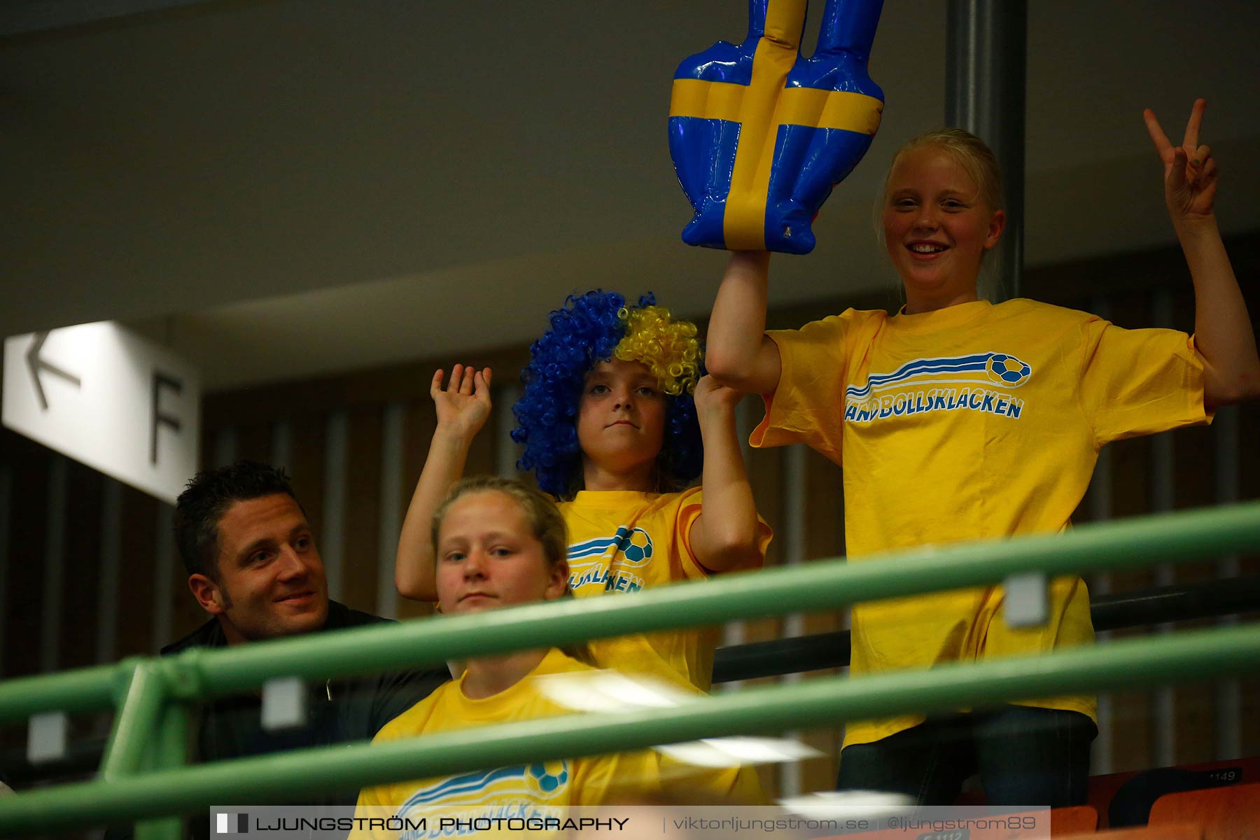 Landskamp Sverige-Island 32-24,dam,Arena Skövde,Skövde,Sverige,Handboll,,2014,151351