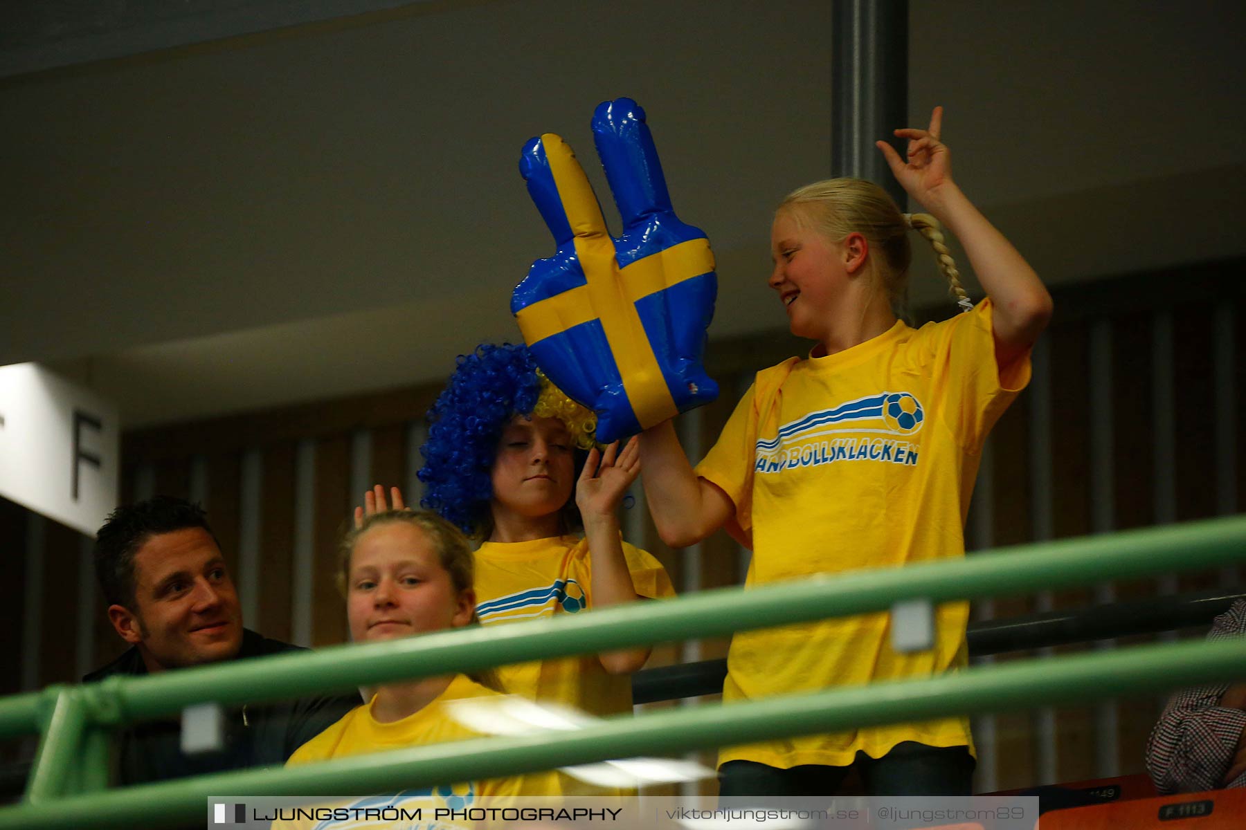 Landskamp Sverige-Island 32-24,dam,Arena Skövde,Skövde,Sverige,Handboll,,2014,151353