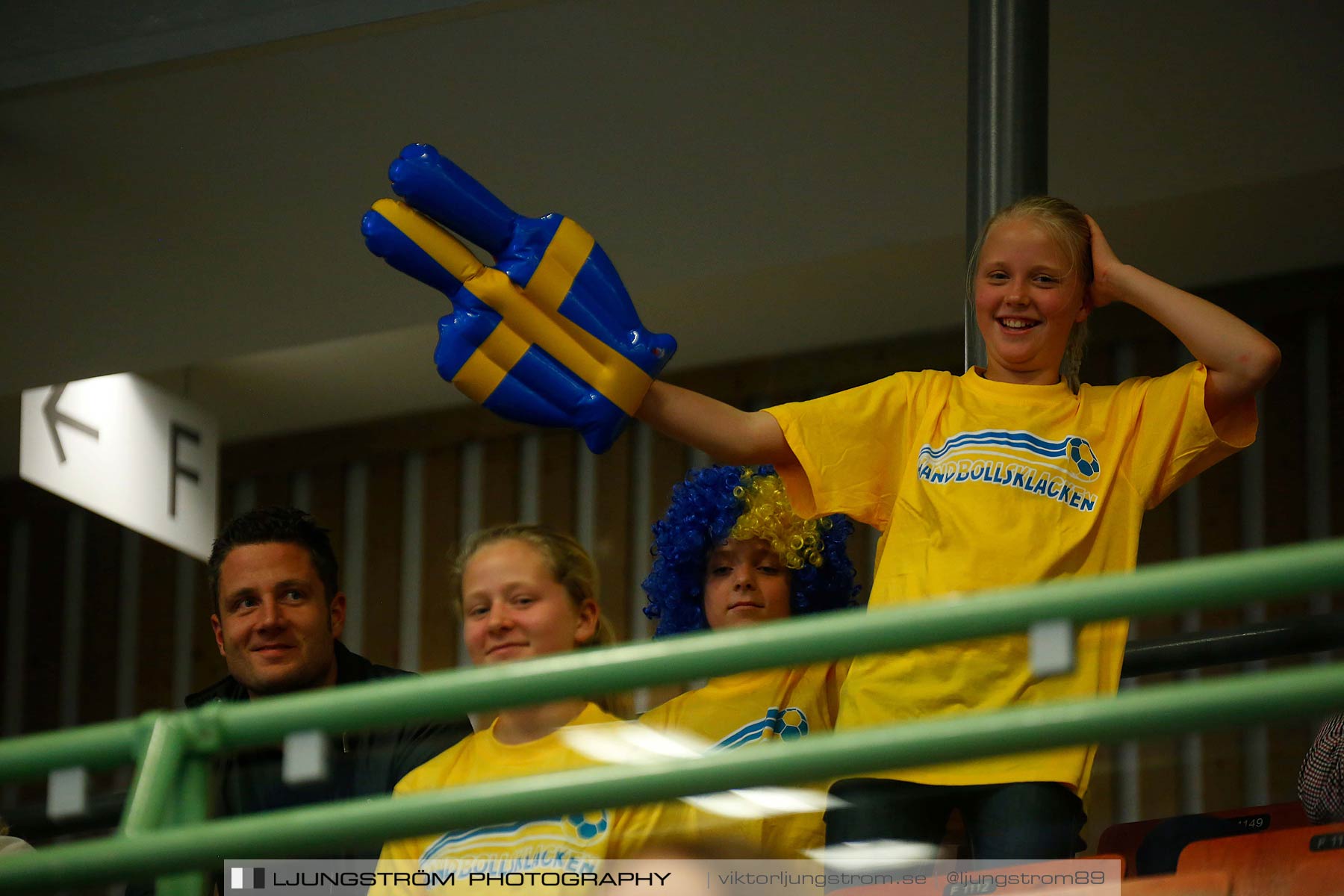 Landskamp Sverige-Island 32-24,dam,Arena Skövde,Skövde,Sverige,Handboll,,2014,151358