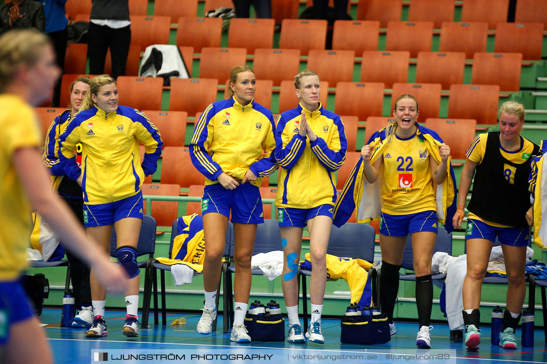 Landskamp Sverige-Island 32-24,dam,Arena Skövde,Skövde,Sverige,Handboll,,2014,151384