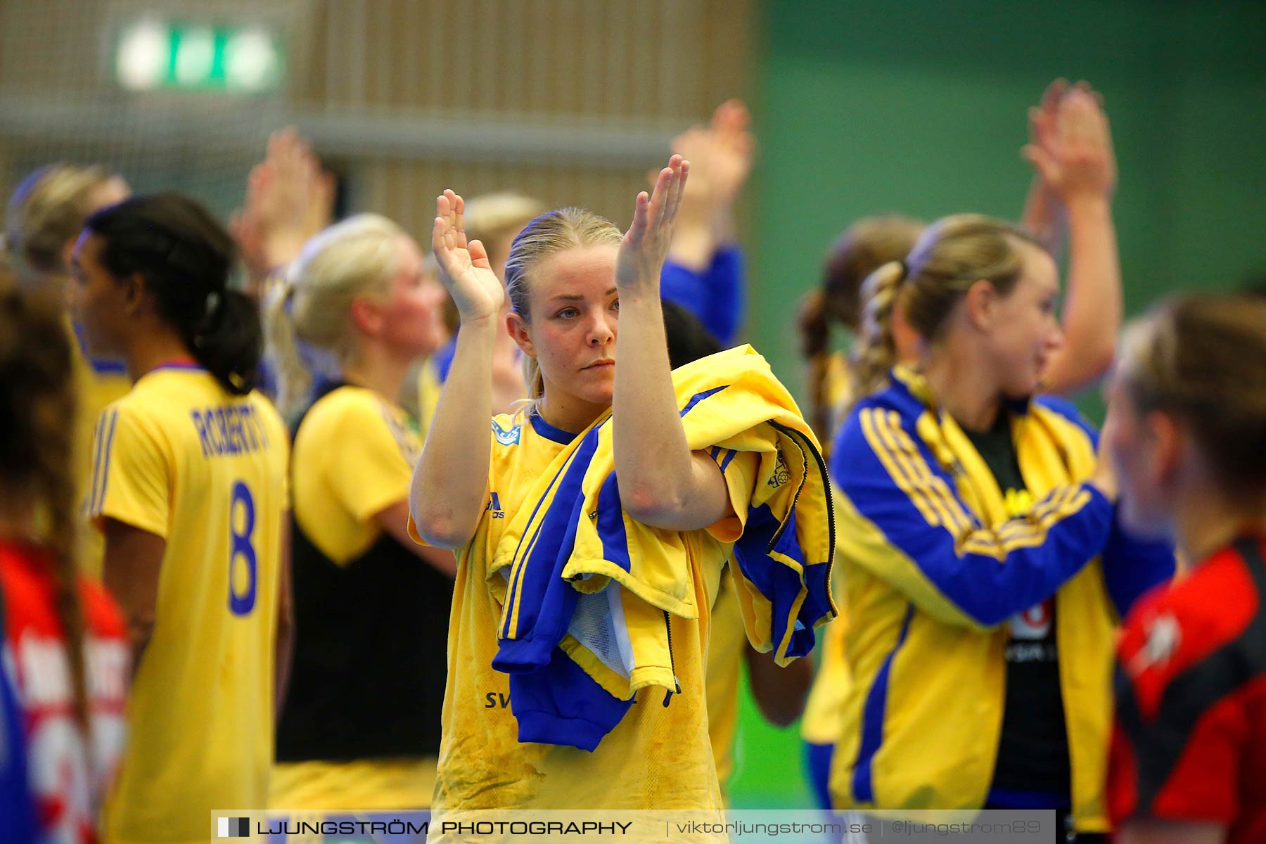 Landskamp Sverige-Island 32-24,dam,Arena Skövde,Skövde,Sverige,Handboll,,2014,151424