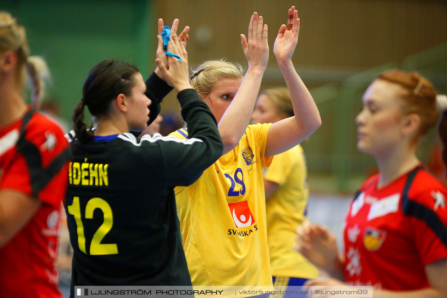 Landskamp Sverige-Island 32-24,dam,Arena Skövde,Skövde,Sverige,Handboll,,2014,151429