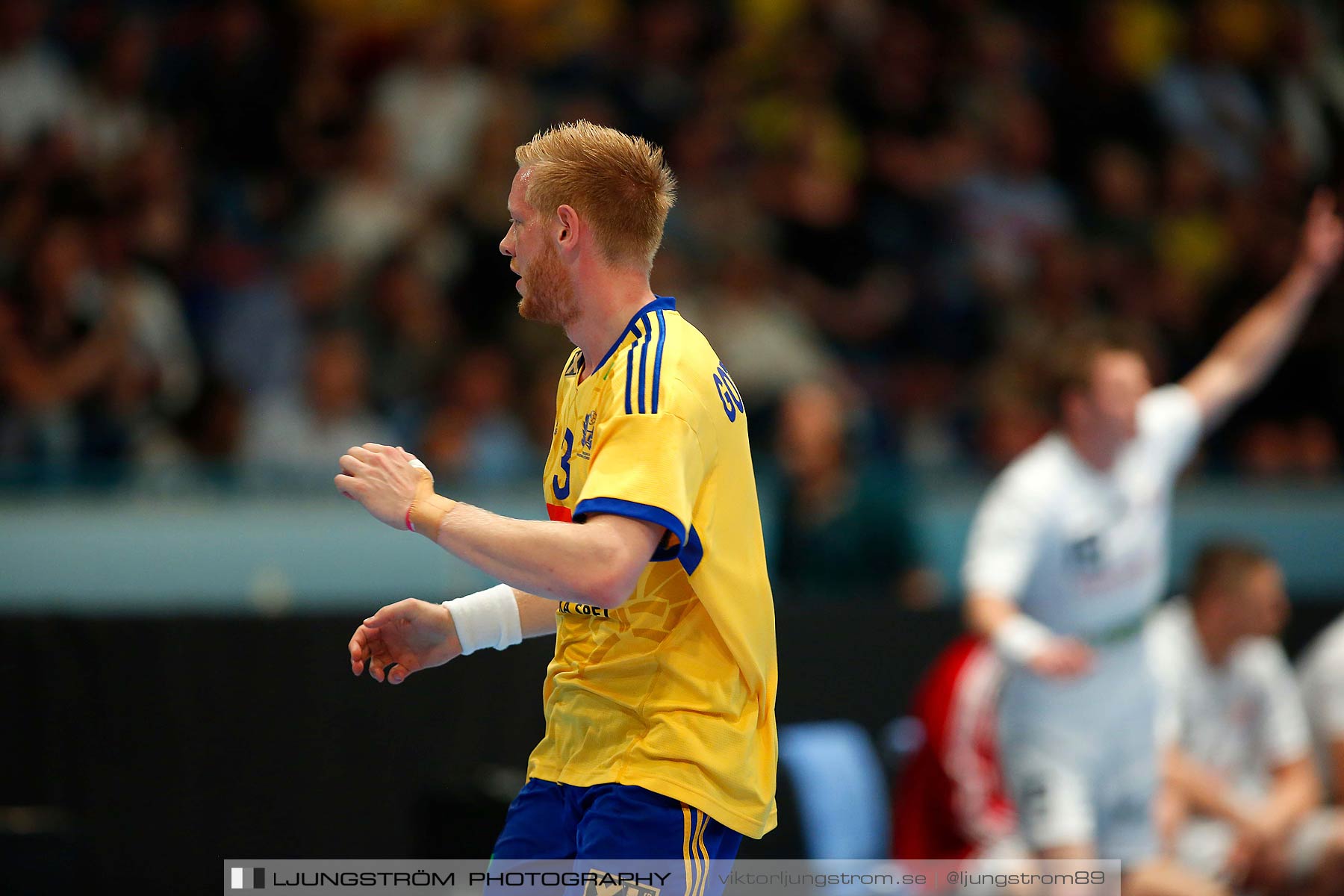 EM-kval Sverige-Slovakien 27-22,herr,Hovet,Stockholm,Sverige,Handboll,,2015,152119