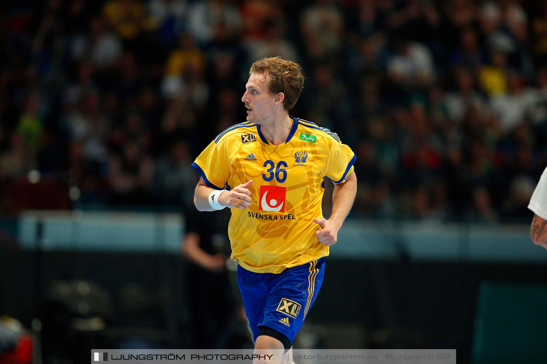 EM-kval Sverige-Slovakien 27-22,herr,Hovet,Stockholm,Sverige,Handboll,,2015,152282