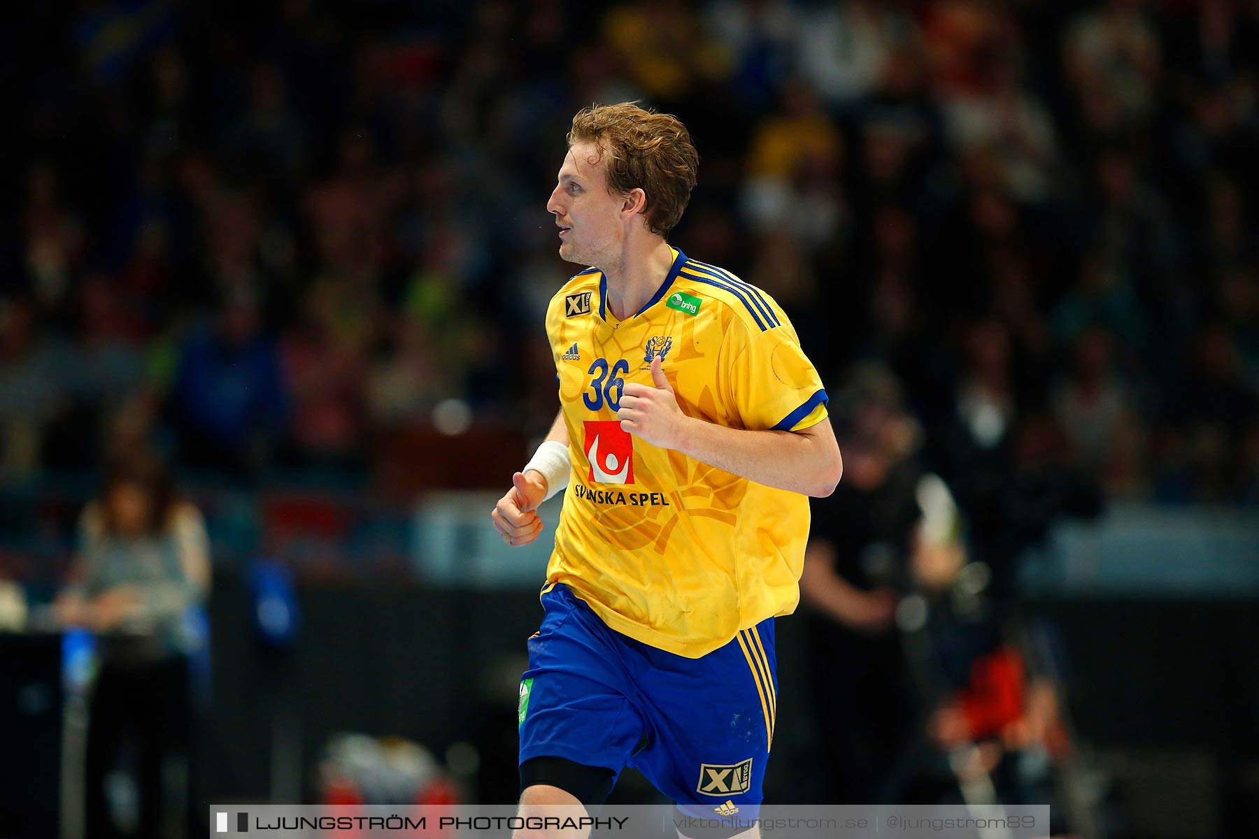 EM-kval Sverige-Slovakien 27-22,herr,Hovet,Stockholm,Sverige,Handboll,,2015,152284