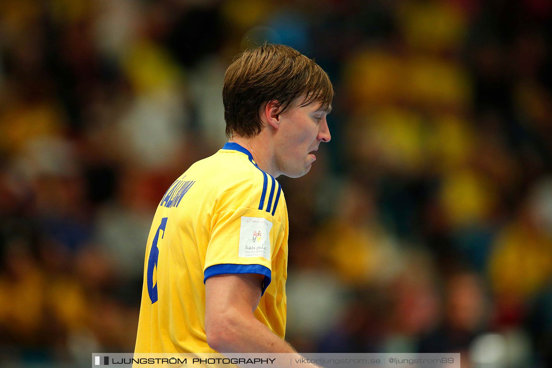 EM-kval Sverige-Slovakien 27-22,herr,Hovet,Stockholm,Sverige,Handboll,,2015,152294