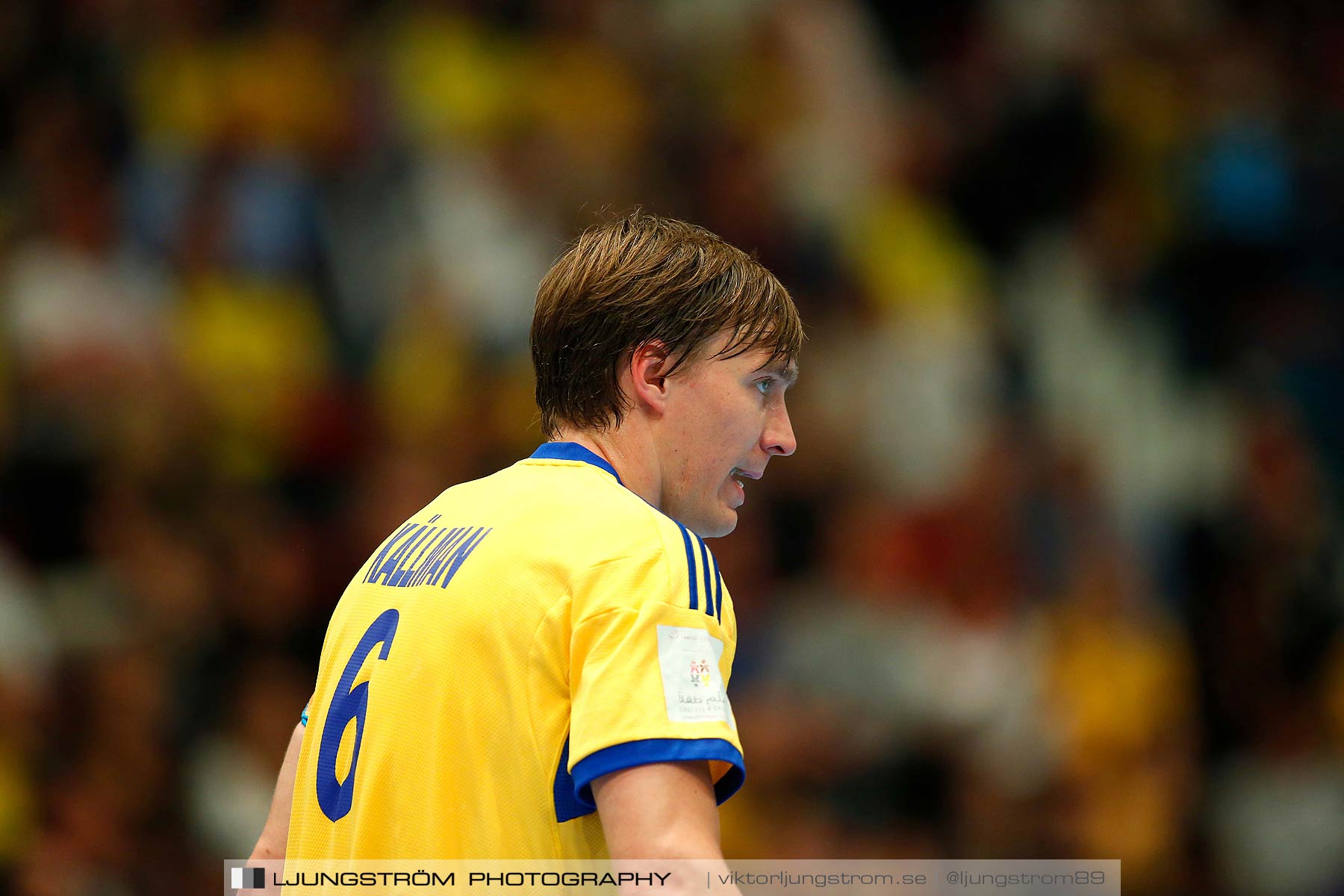 EM-kval Sverige-Slovakien 27-22,herr,Hovet,Stockholm,Sverige,Handboll,,2015,152295