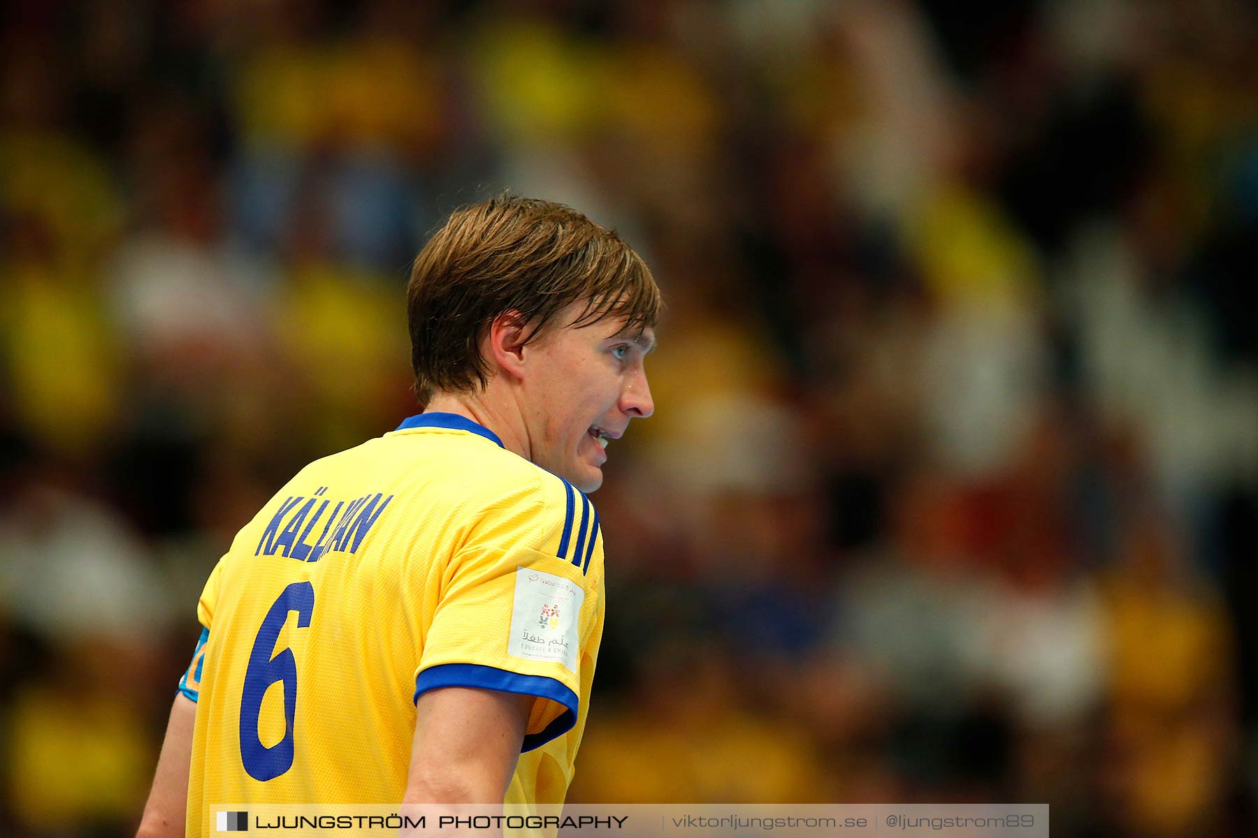 EM-kval Sverige-Slovakien 27-22,herr,Hovet,Stockholm,Sverige,Handboll,,2015,152297