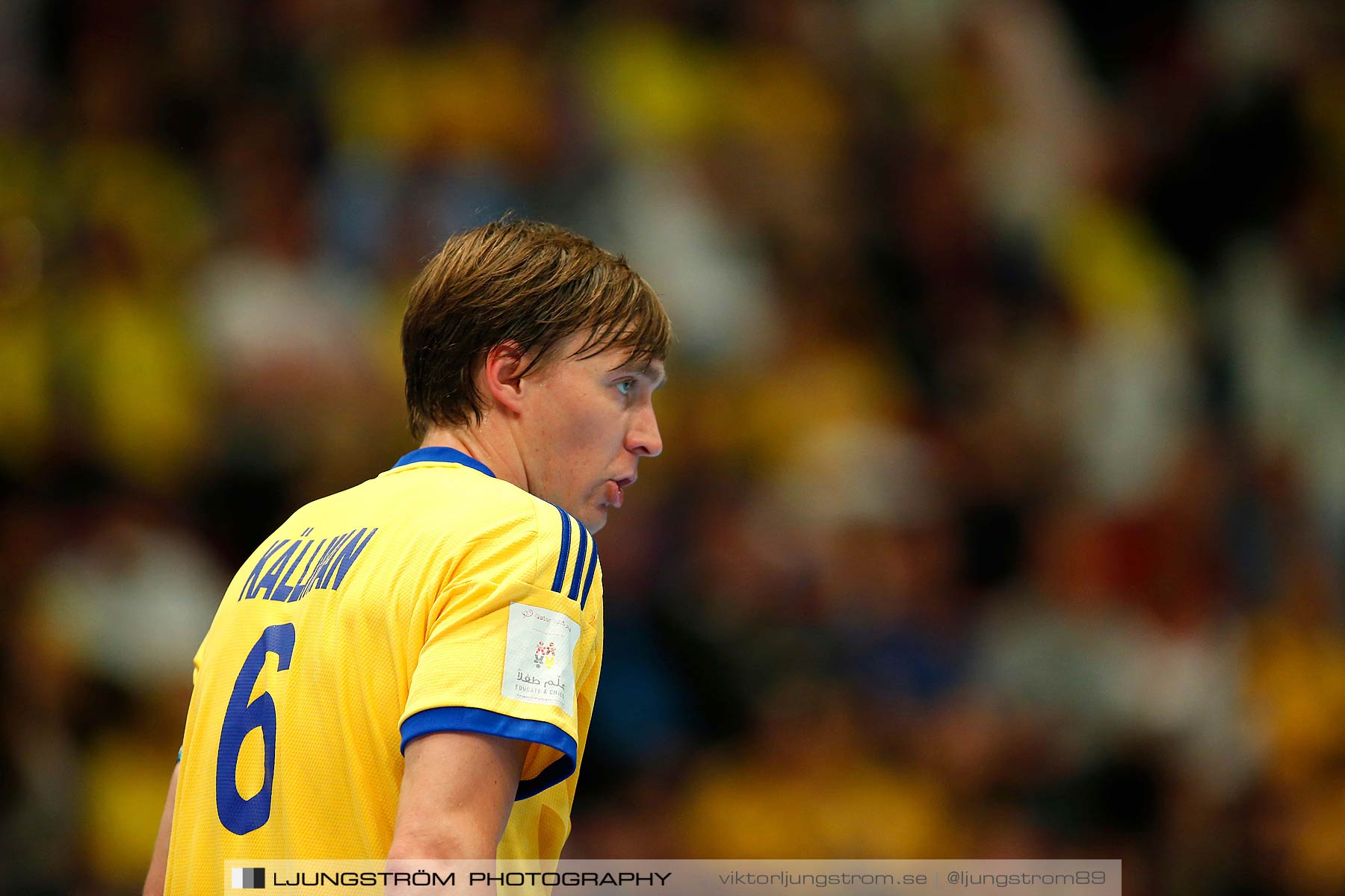 EM-kval Sverige-Slovakien 27-22,herr,Hovet,Stockholm,Sverige,Handboll,,2015,152298