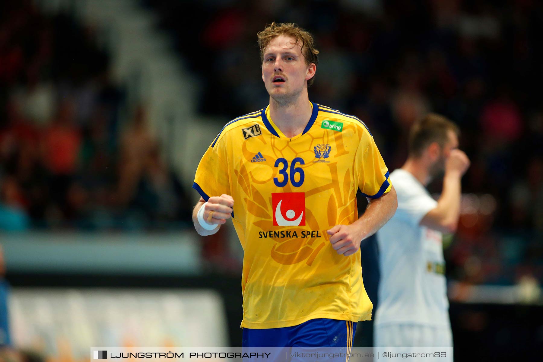 EM-kval Sverige-Slovakien 27-22,herr,Hovet,Stockholm,Sverige,Handboll,,2015,152315