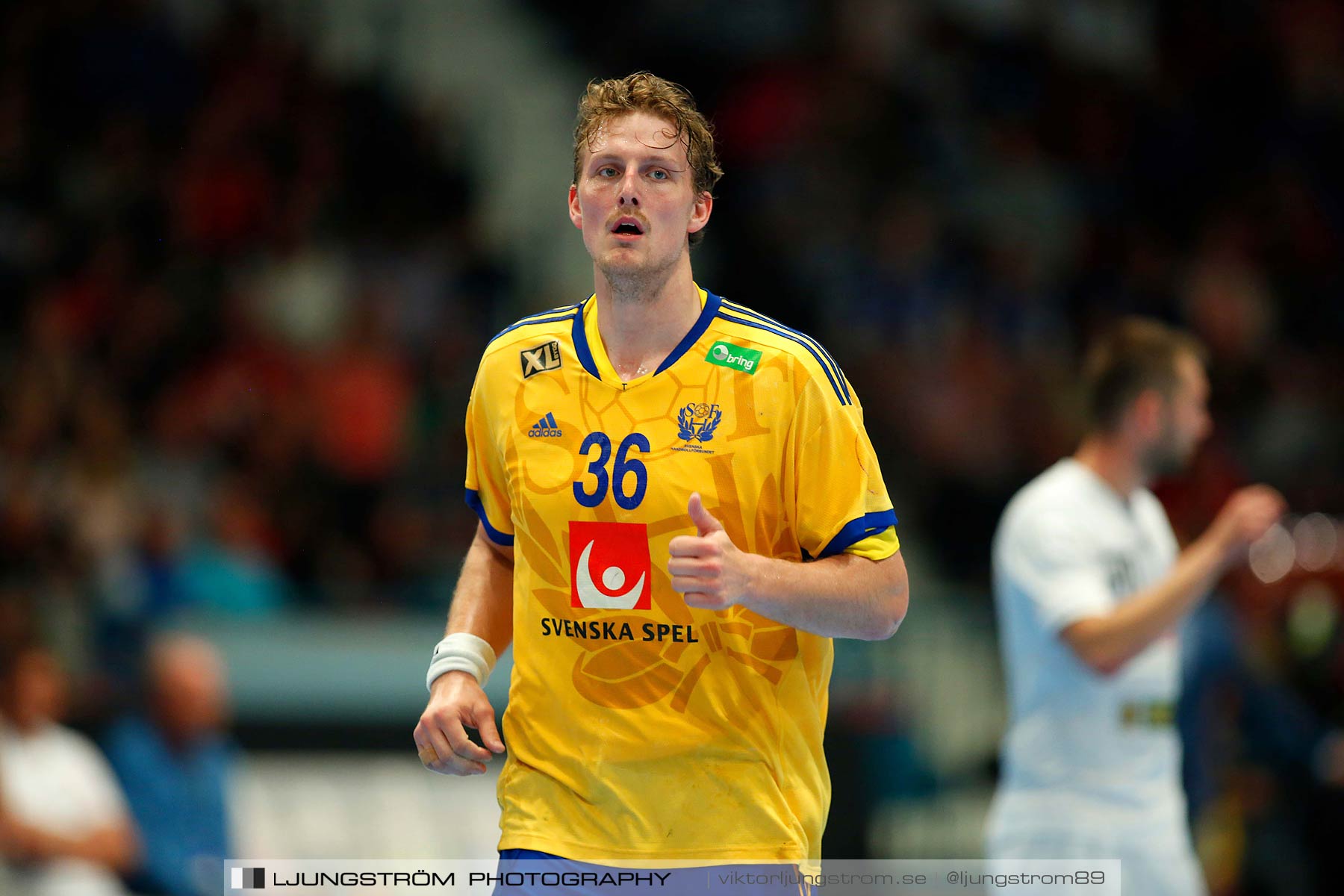 EM-kval Sverige-Slovakien 27-22,herr,Hovet,Stockholm,Sverige,Handboll,,2015,152317