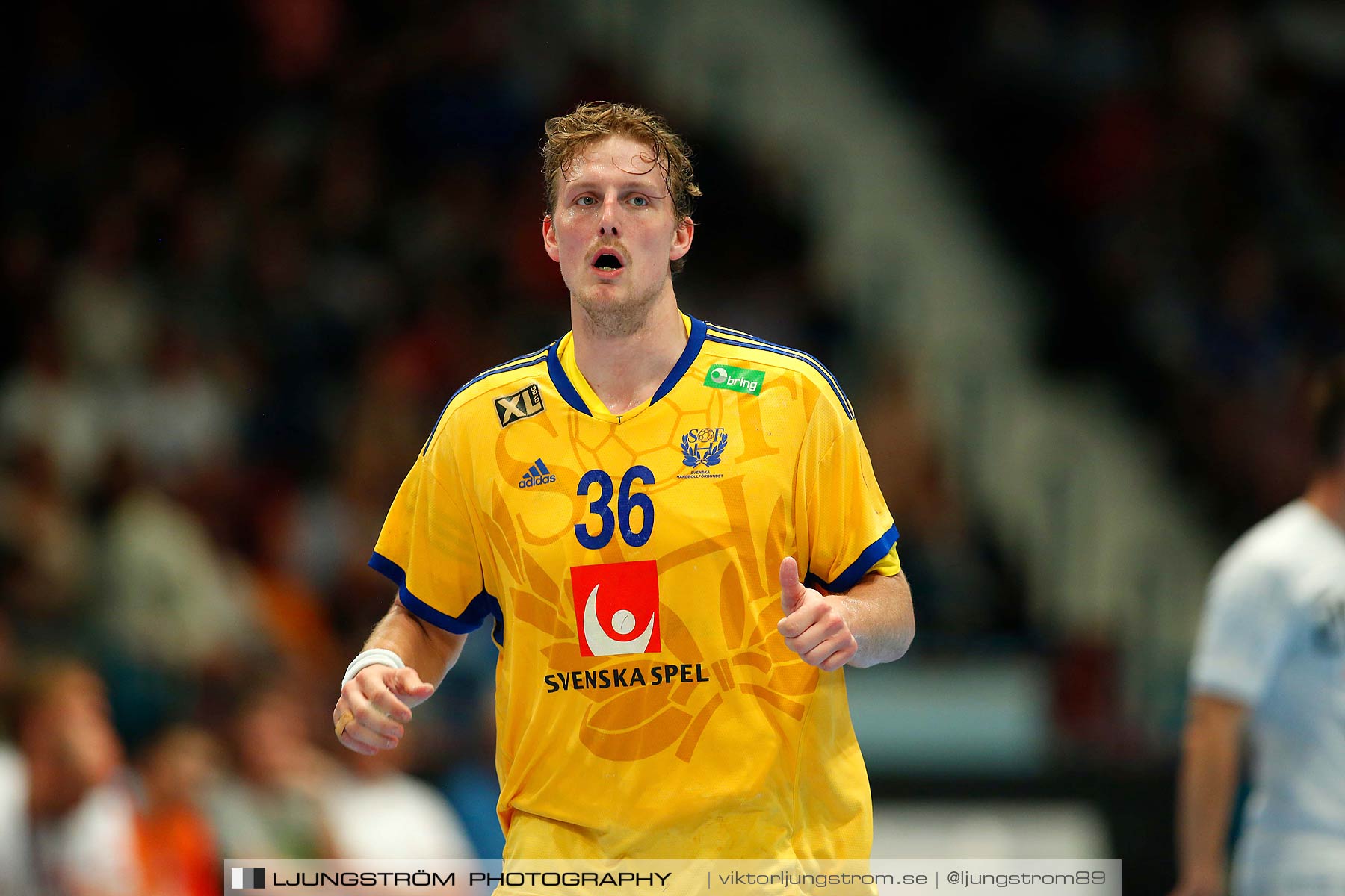 EM-kval Sverige-Slovakien 27-22,herr,Hovet,Stockholm,Sverige,Handboll,,2015,152319