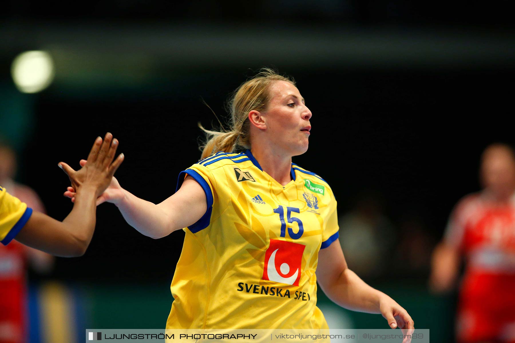 VM-kval Sverige-Kroatien 27-21,dam,Hovet,Stockholm,Sverige,Handboll,,2015,153561