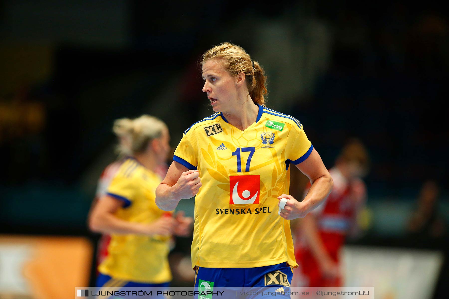 VM-kval Sverige-Kroatien 27-21,dam,Hovet,Stockholm,Sverige,Handboll,,2015,153676