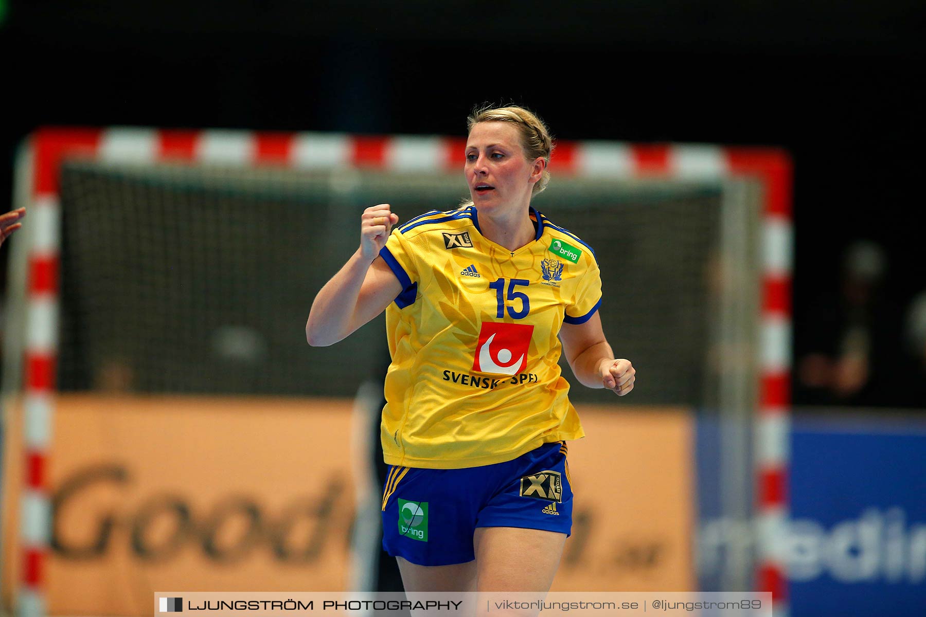 VM-kval Sverige-Kroatien 27-21,dam,Hovet,Stockholm,Sverige,Handboll,,2015,153888