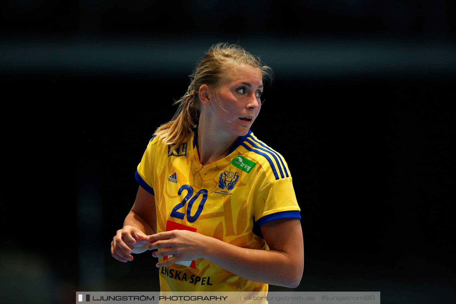 VM-kval Sverige-Kroatien 27-21,dam,Hovet,Stockholm,Sverige,Handboll,,2015,154326