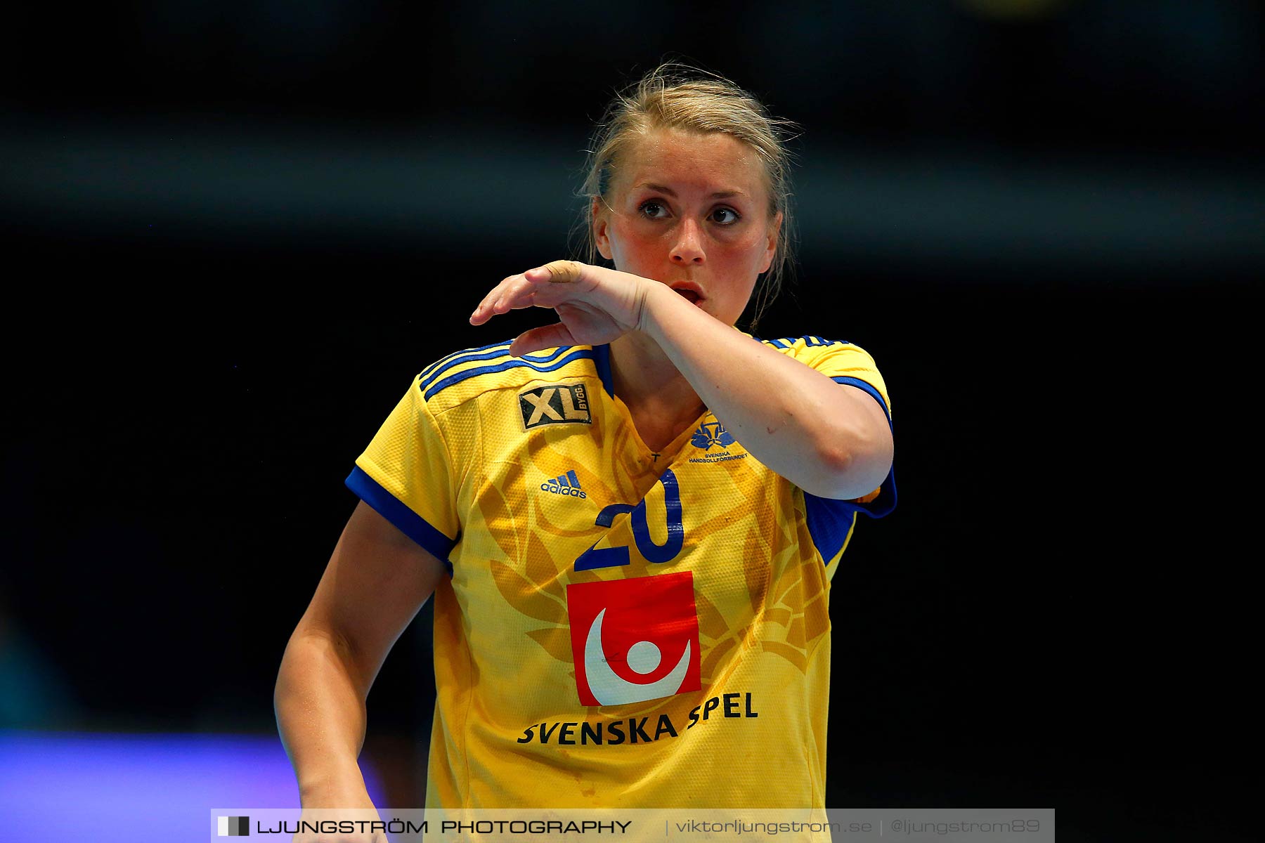 VM-kval Sverige-Kroatien 27-21,dam,Hovet,Stockholm,Sverige,Handboll,,2015,154343