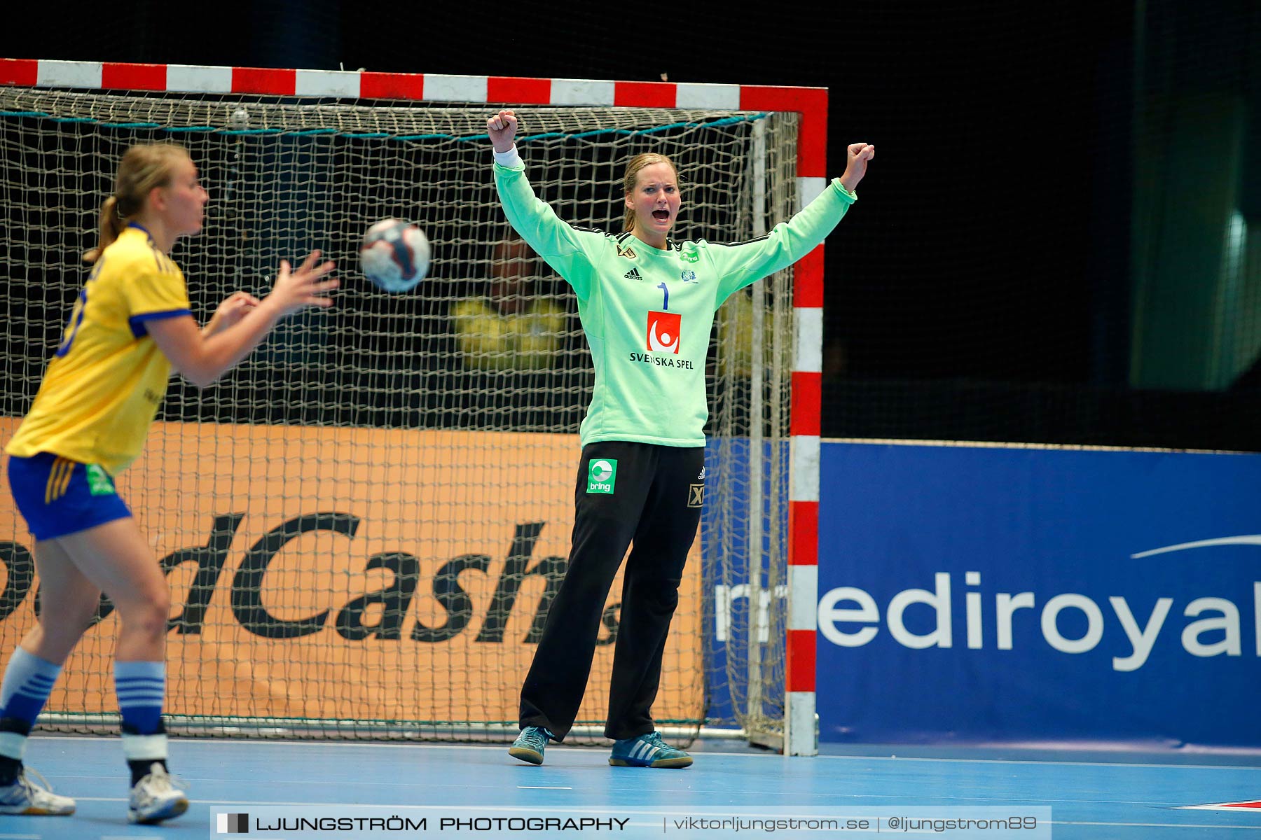 VM-kval Sverige-Kroatien 27-21,dam,Hovet,Stockholm,Sverige,Handboll,,2015,154355