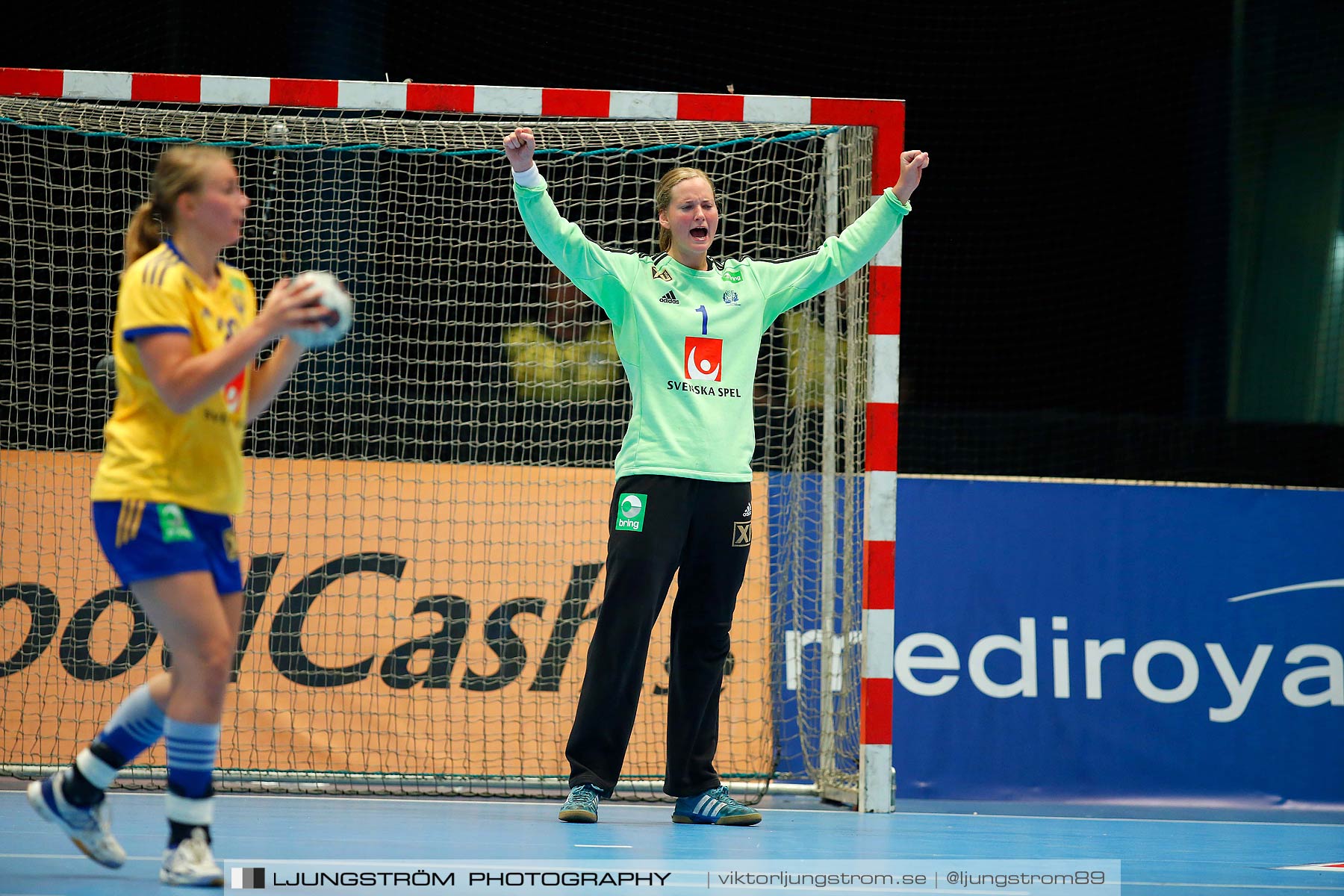 VM-kval Sverige-Kroatien 27-21,dam,Hovet,Stockholm,Sverige,Handboll,,2015,154356