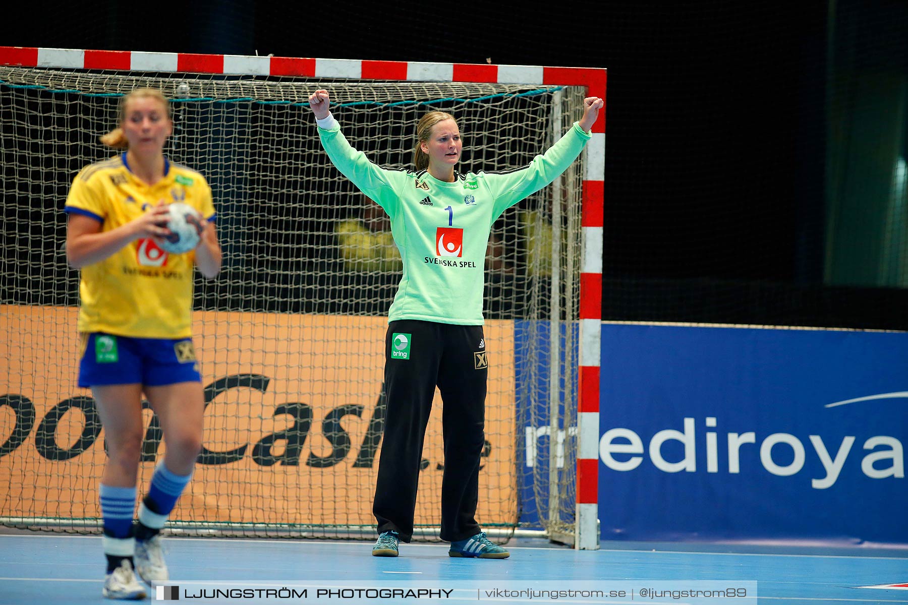 VM-kval Sverige-Kroatien 27-21,dam,Hovet,Stockholm,Sverige,Handboll,,2015,154357