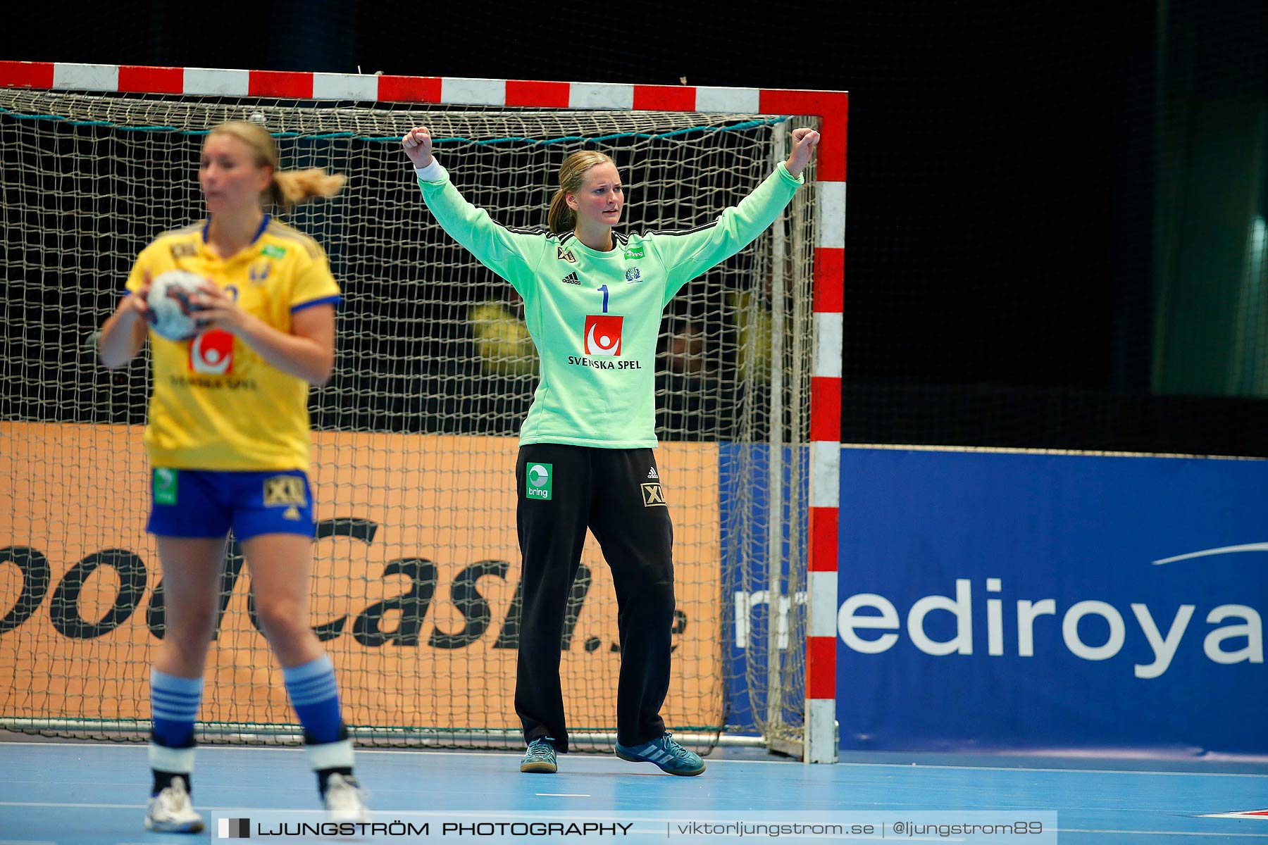 VM-kval Sverige-Kroatien 27-21,dam,Hovet,Stockholm,Sverige,Handboll,,2015,154358