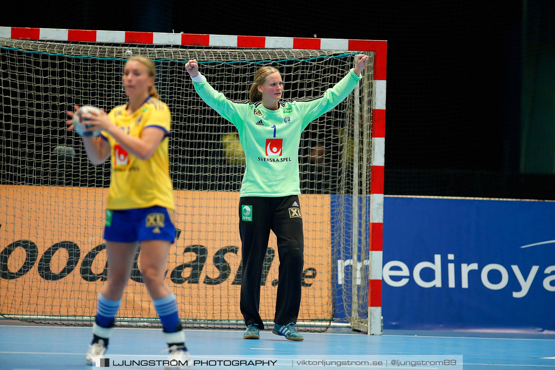 VM-kval Sverige-Kroatien 27-21,dam,Hovet,Stockholm,Sverige,Handboll,,2015,154359