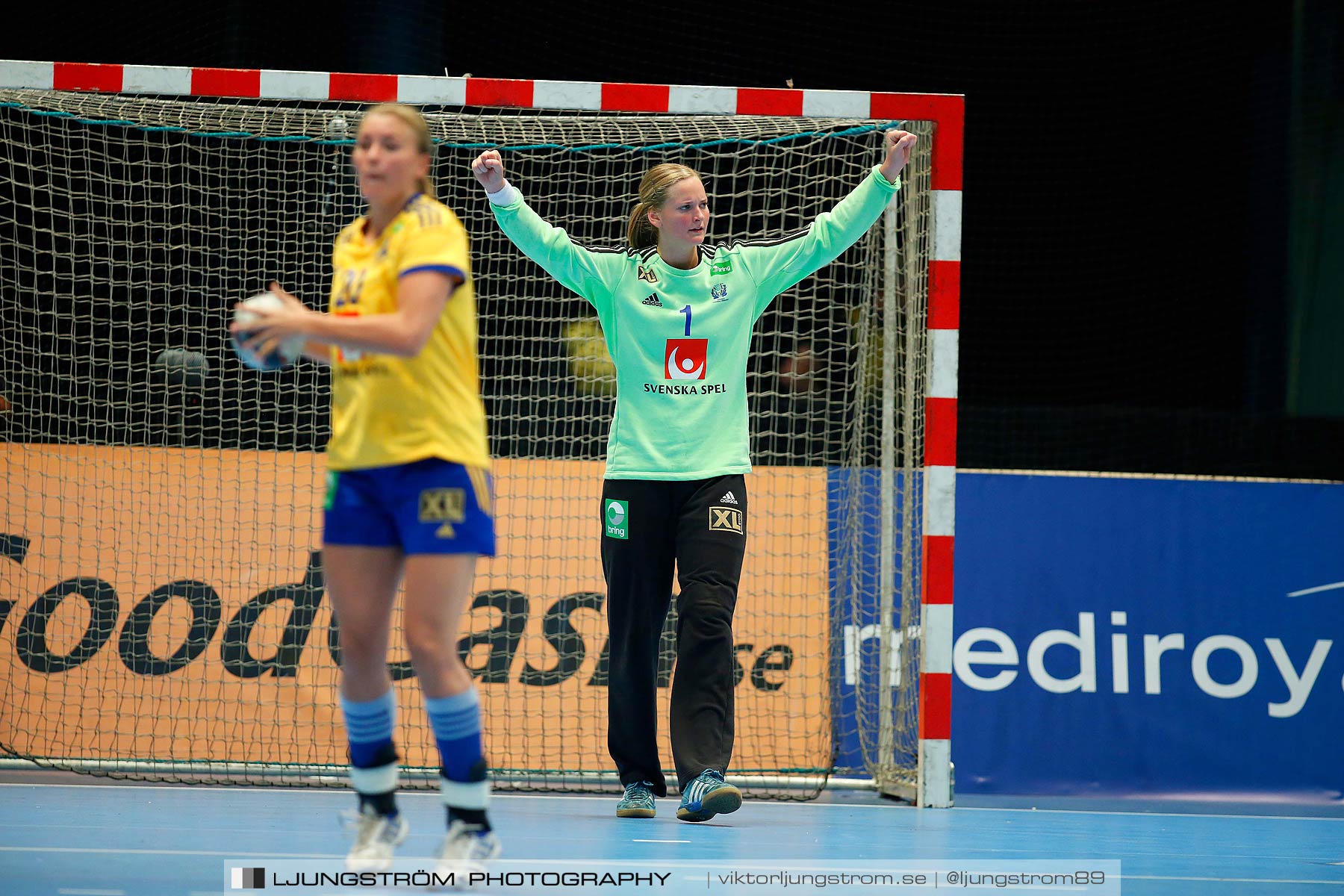 VM-kval Sverige-Kroatien 27-21,dam,Hovet,Stockholm,Sverige,Handboll,,2015,154360