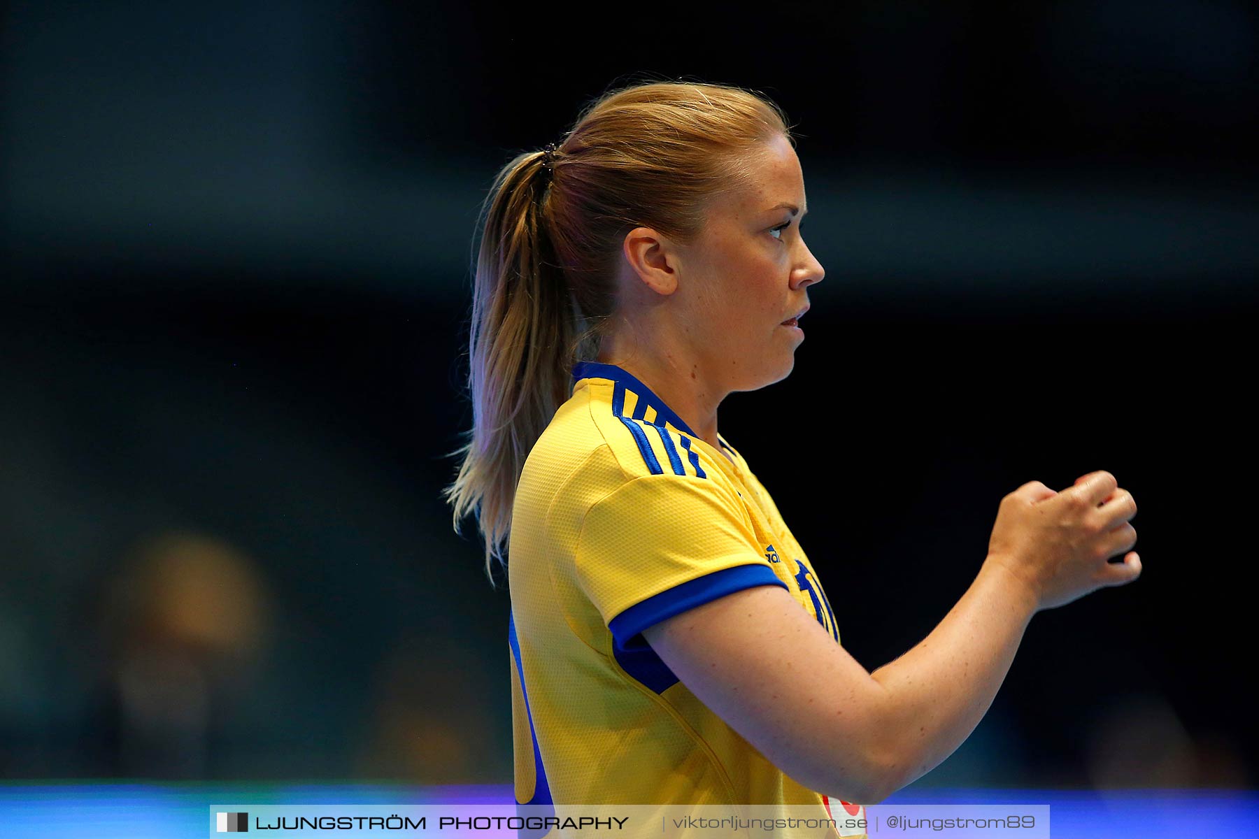 VM-kval Sverige-Kroatien 27-21,dam,Hovet,Stockholm,Sverige,Handboll,,2015,154429