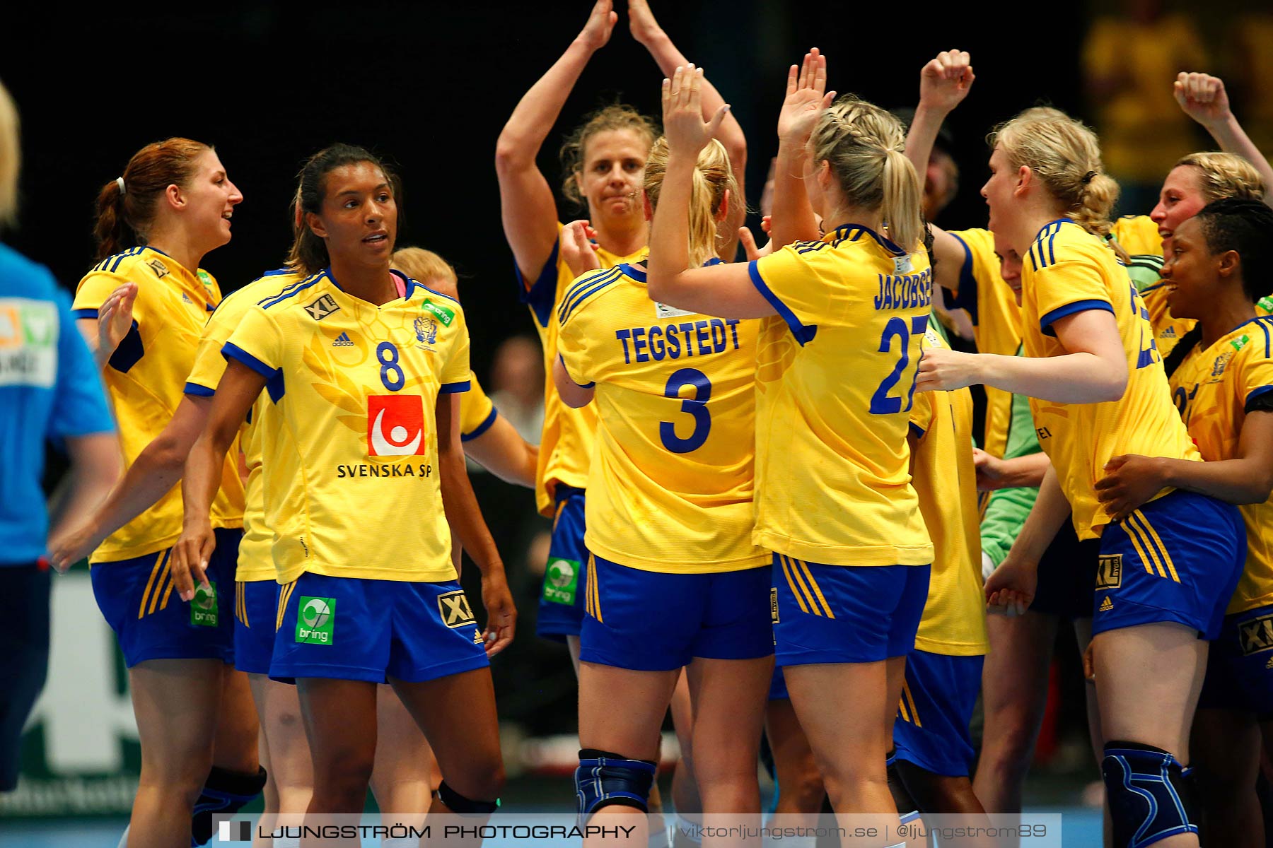 VM-kval Sverige-Kroatien 27-21,dam,Hovet,Stockholm,Sverige,Handboll,,2015,154632