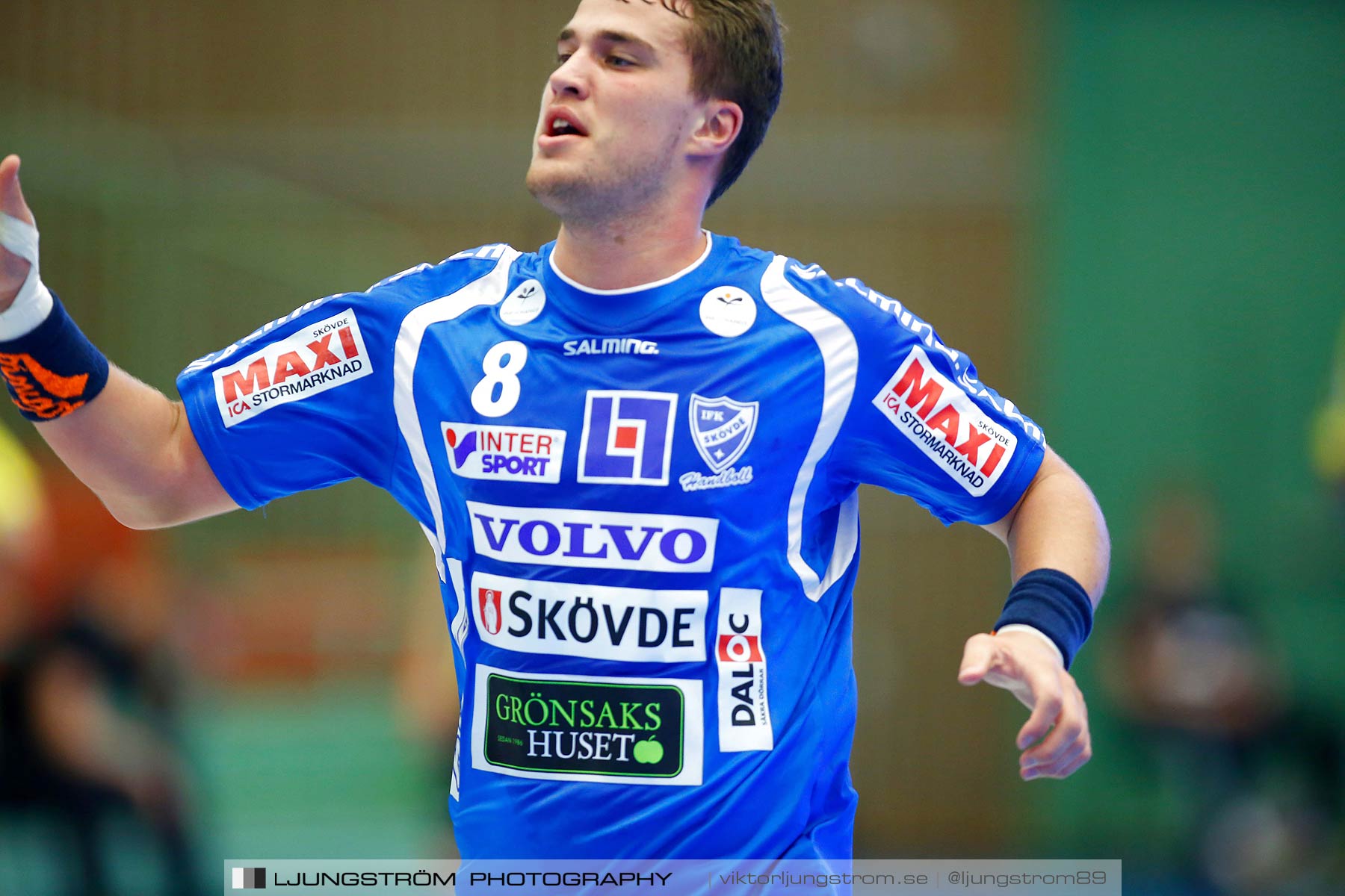 IFK Skövde HK-Hammarby IF HF 19-32,herr,Arena Skövde,Skövde,Sverige,Handboll,,2015,166328