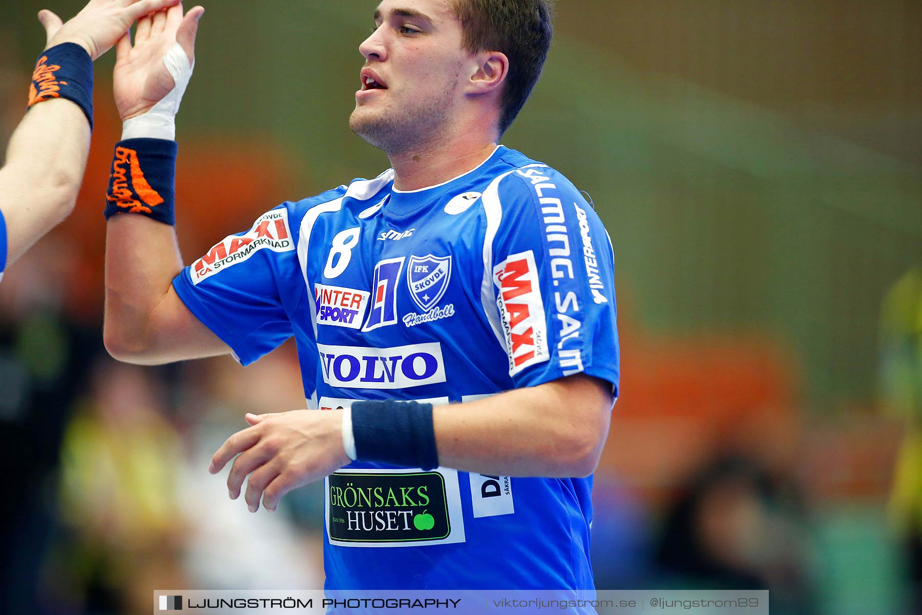 IFK Skövde HK-Hammarby IF HF 19-32,herr,Arena Skövde,Skövde,Sverige,Handboll,,2015,166330